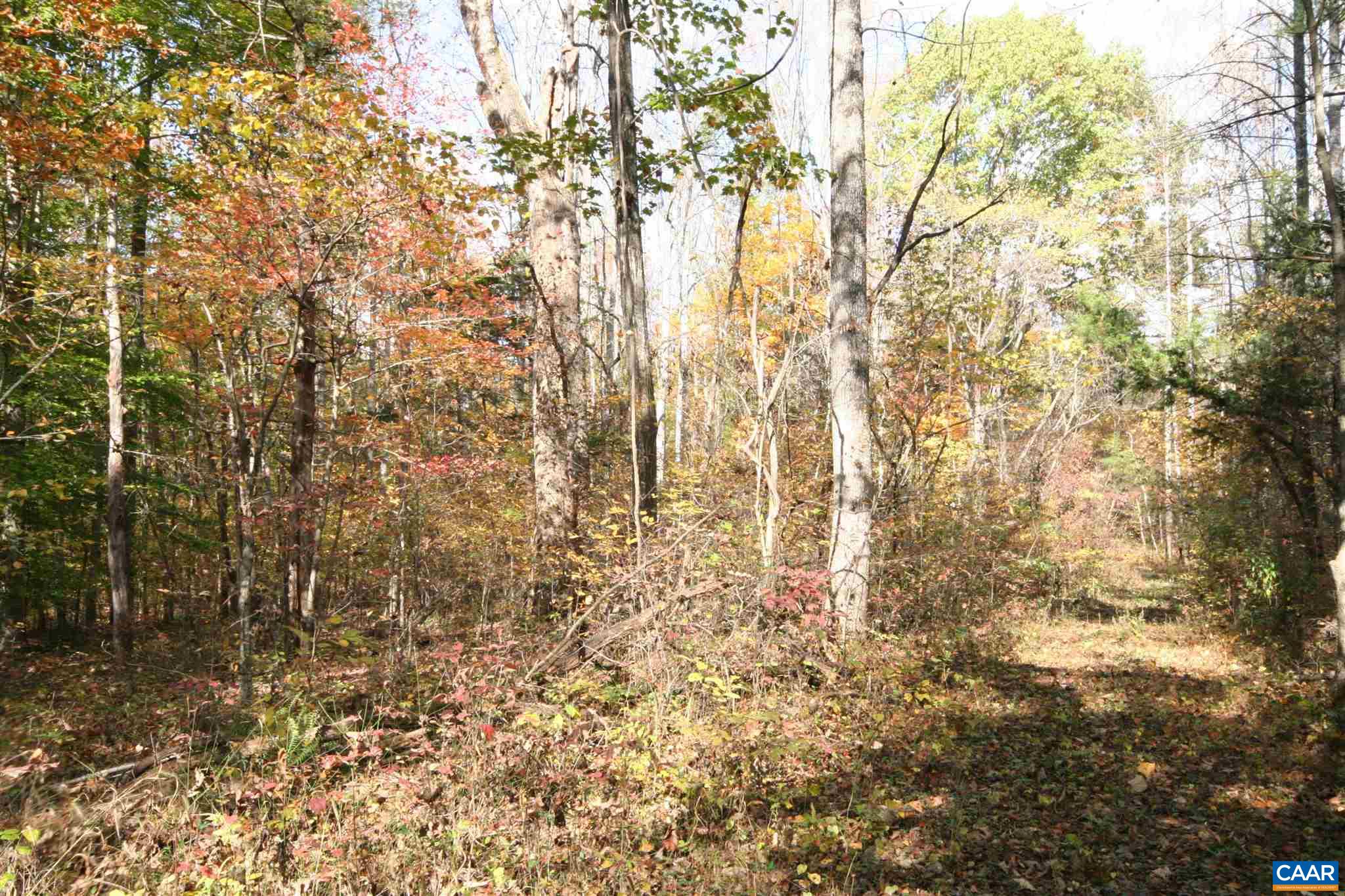 Tba Lot A Tba Road Howardsville, VA 24562 - Photo 32 of 64