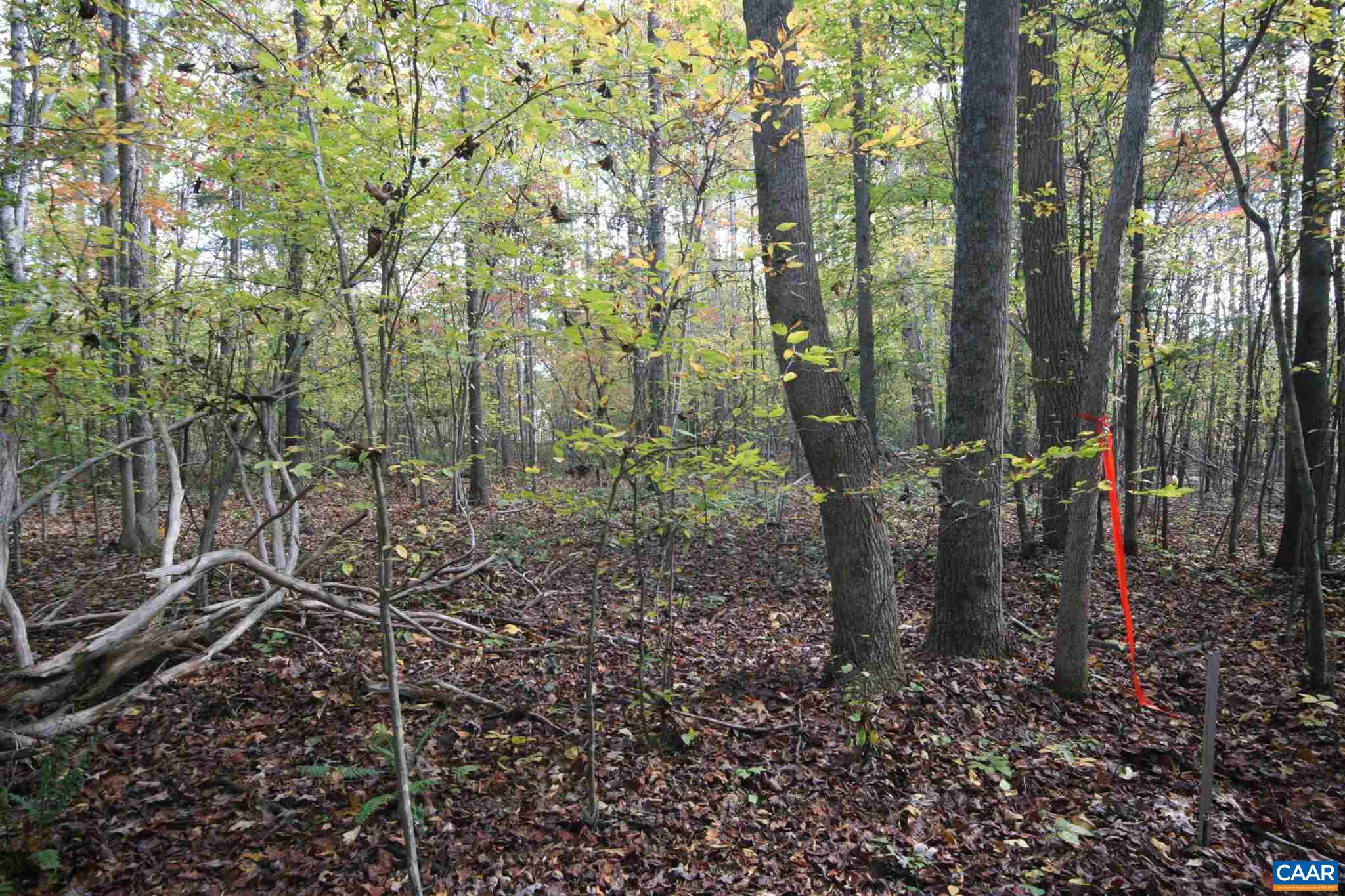 Tba Lot A Tba Road Howardsville, VA 24562 - Photo 35 of 64 a view of outdoor space and a yard