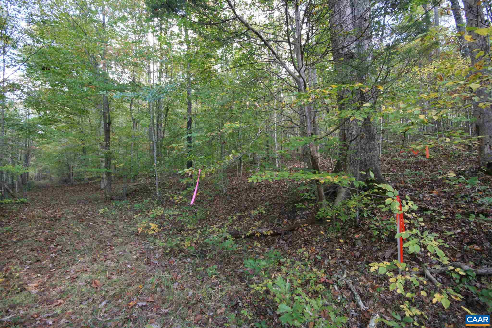 Tba Lot A Tba Road Howardsville, VA 24562 - Photo 41 of 64 a view of outdoor space and green space