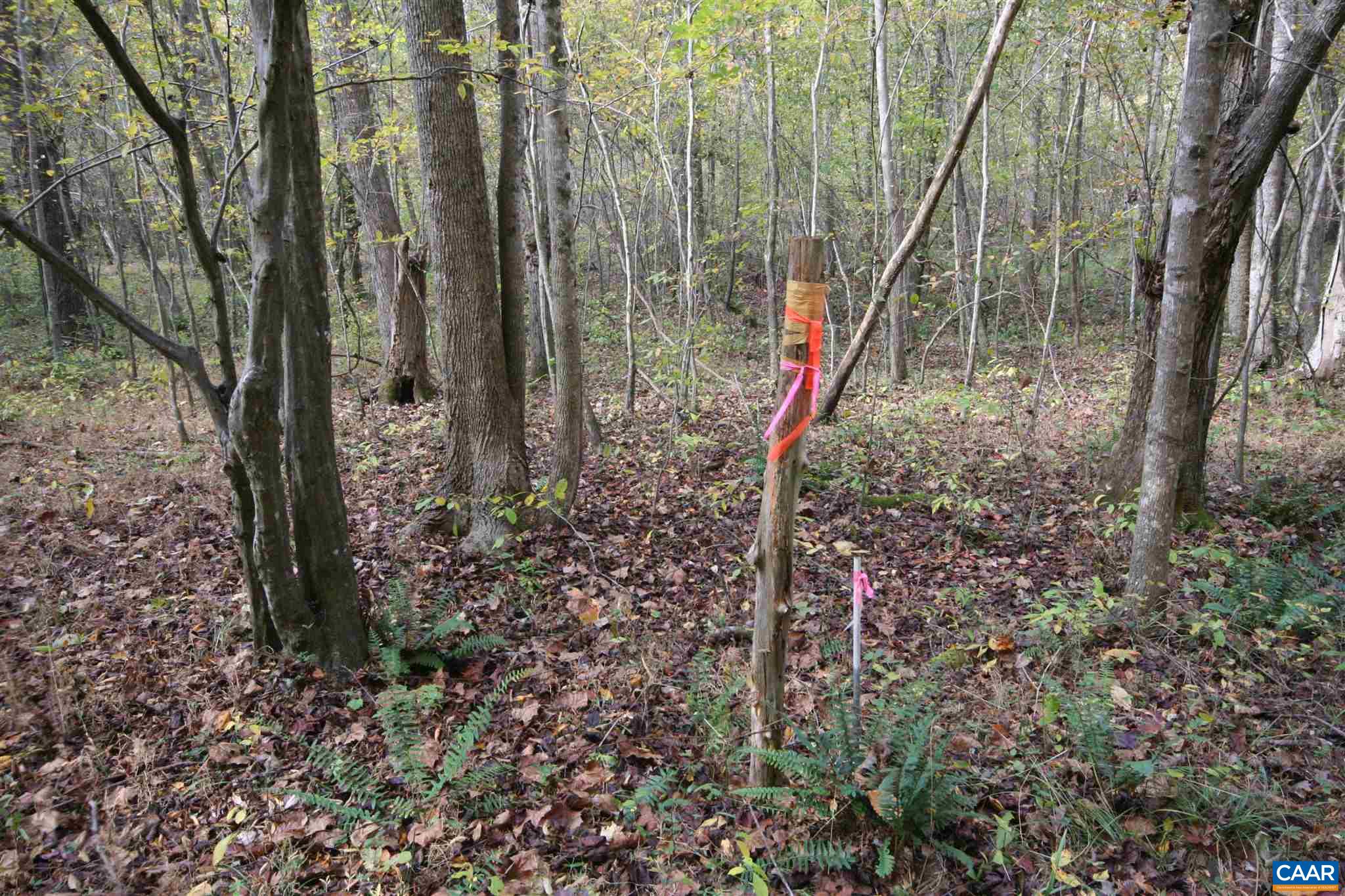 Tba Lot A Tba Road Howardsville, VA 24562 - Photo 42 of 64 a view of a backyard