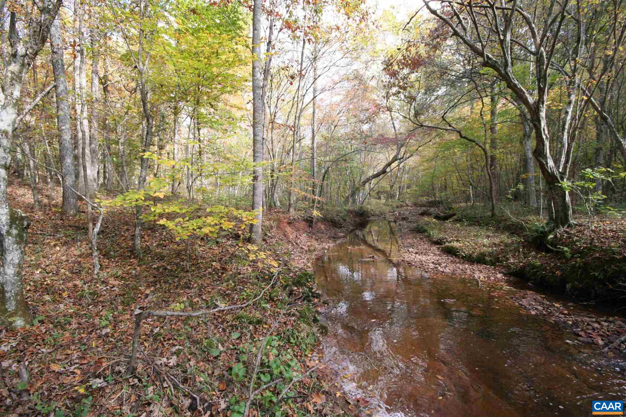 Tba Lot A Tba Road Howardsville, VA 24562 - Photo 45 of 64 a backyard of a house with lots of green space