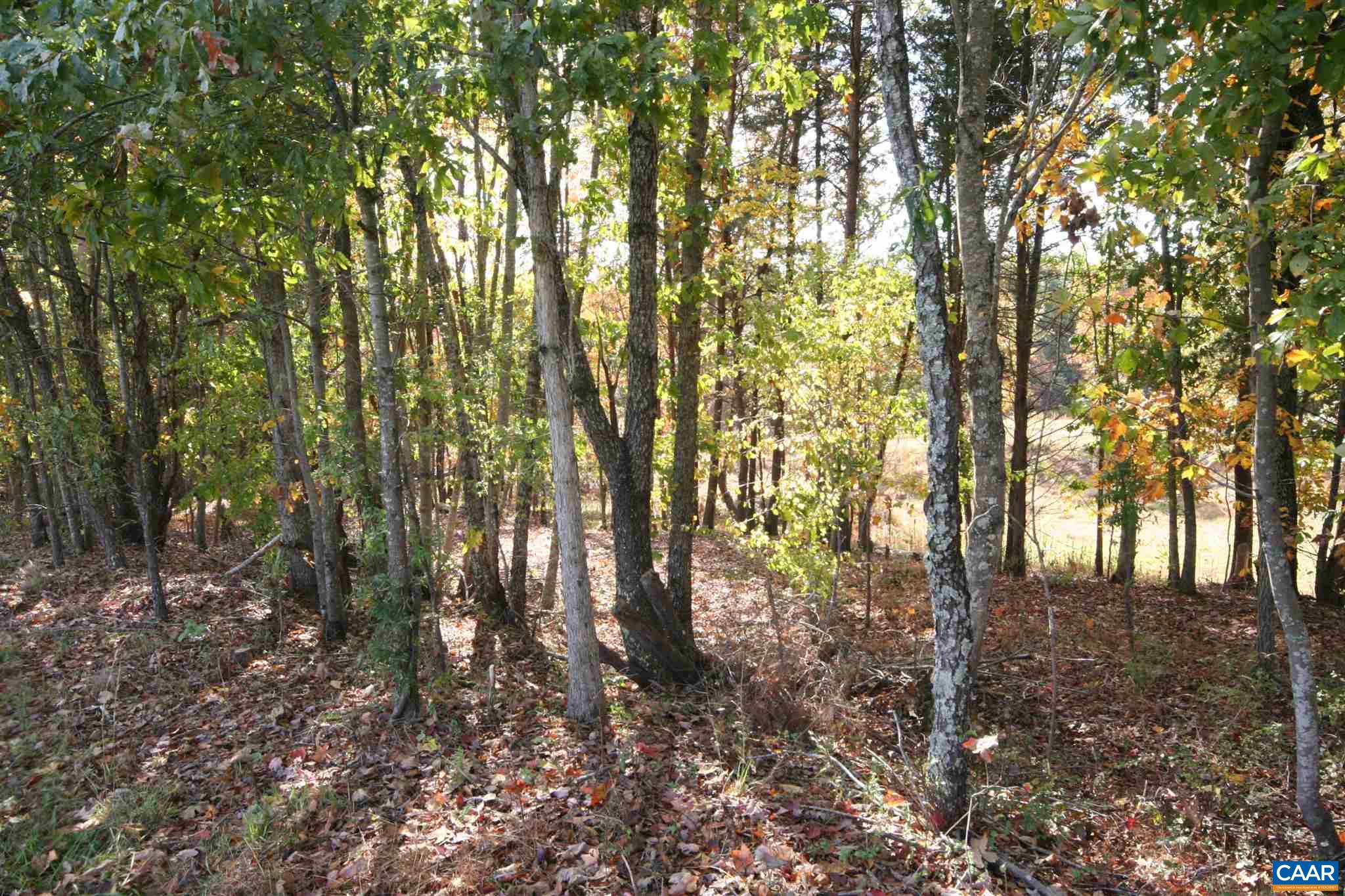 Tba Lot A Tba Road Howardsville, VA 24562 - Photo 5 of 64