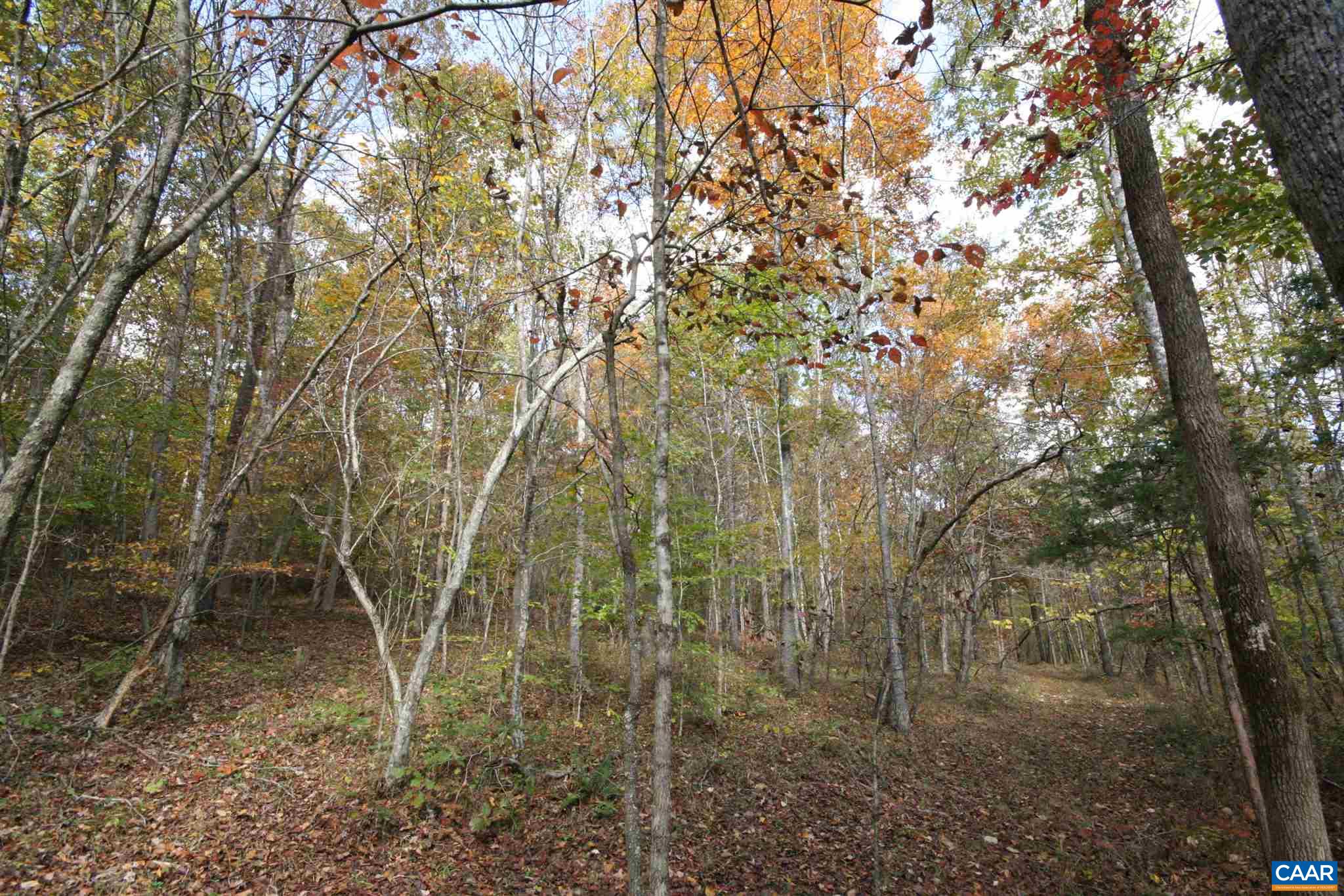 Tba Lot A Tba Road Howardsville, VA 24562 - Photo 53 of 64 a backyard of a house with lots of green space