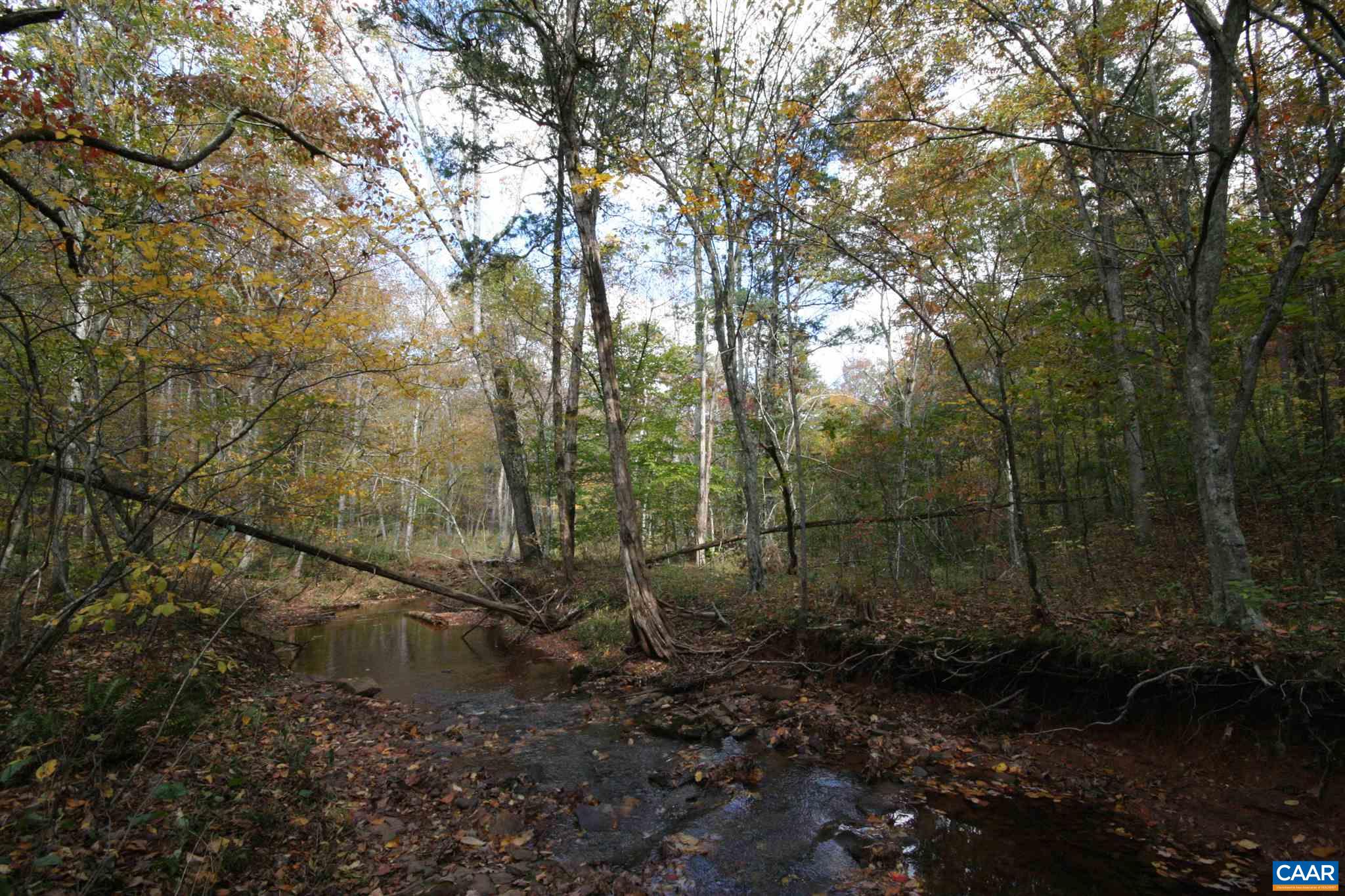 Tba Lot A Tba Road Howardsville, VA 24562 - Photo 54 of 64 a view of a forest with trees
