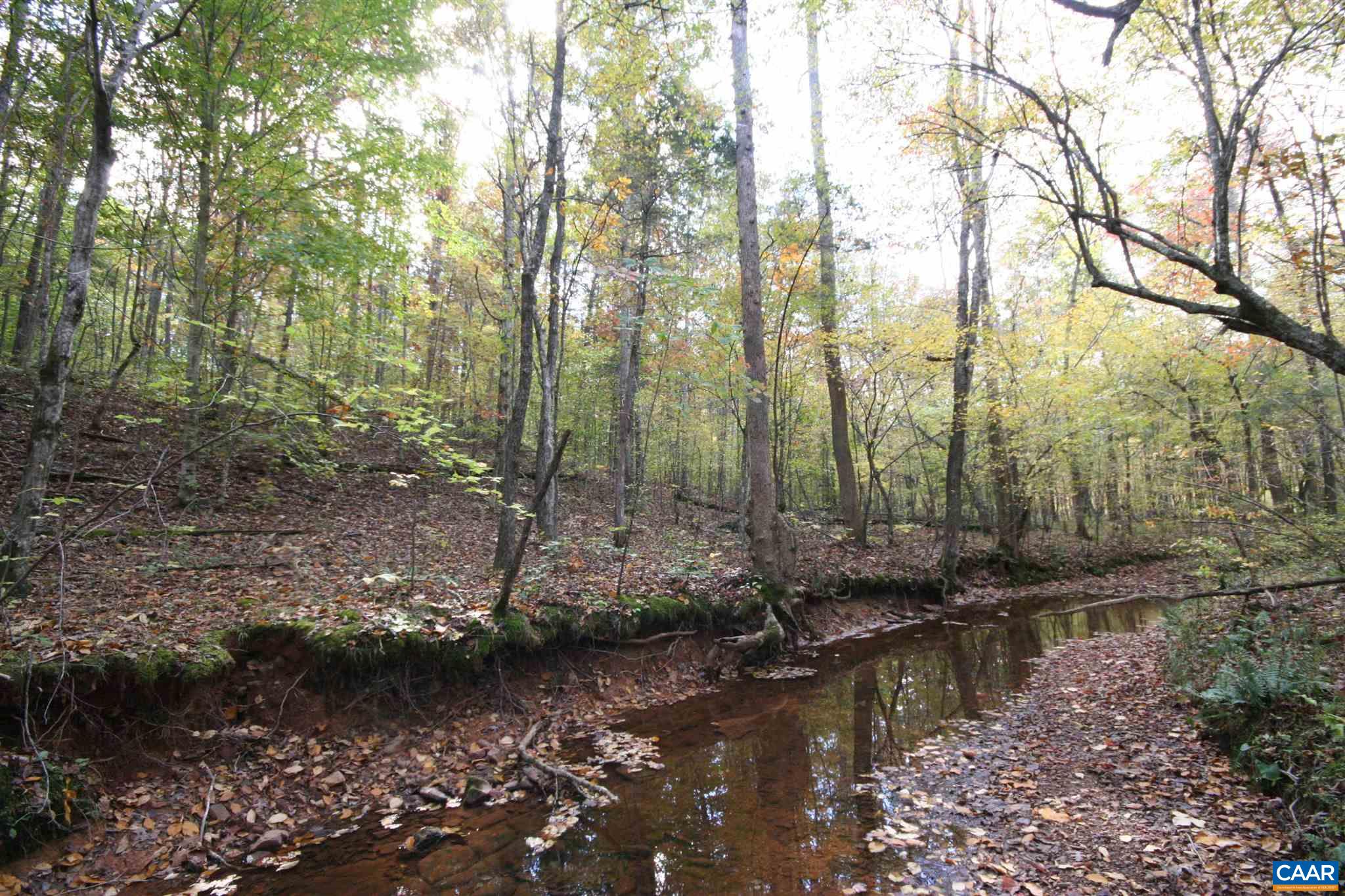 Tba Lot A Tba Road Howardsville, VA 24562 - Photo 55 of 64 a view of a lake with large trees
