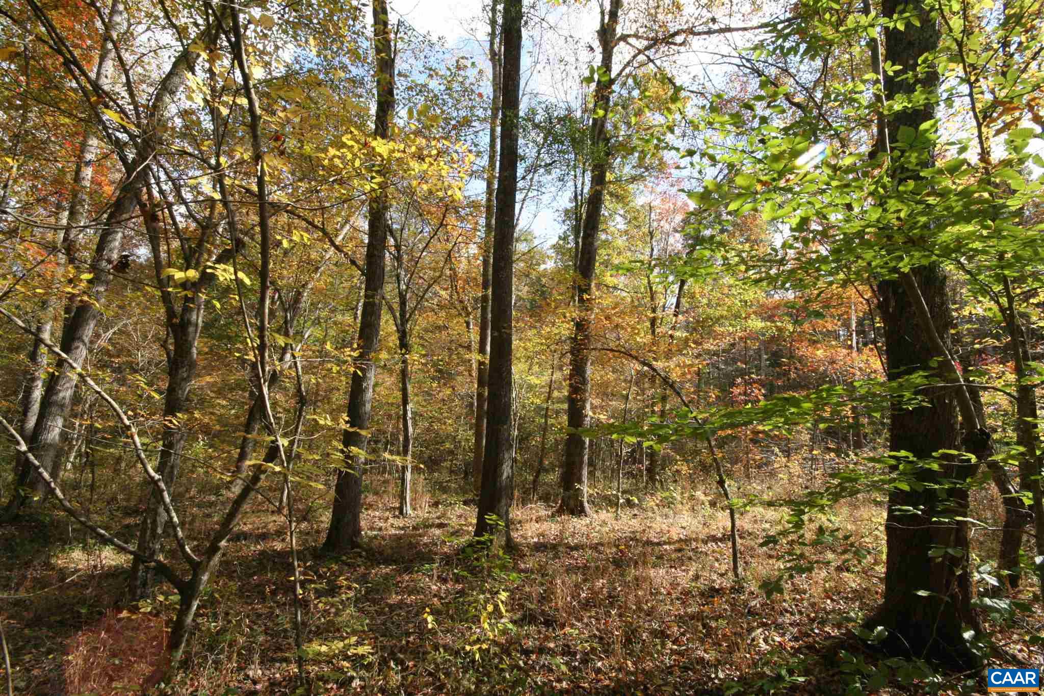Tba Lot A Tba Road Howardsville, VA 24562 - Photo 58 of 64 a backyard of a house with lots of trees