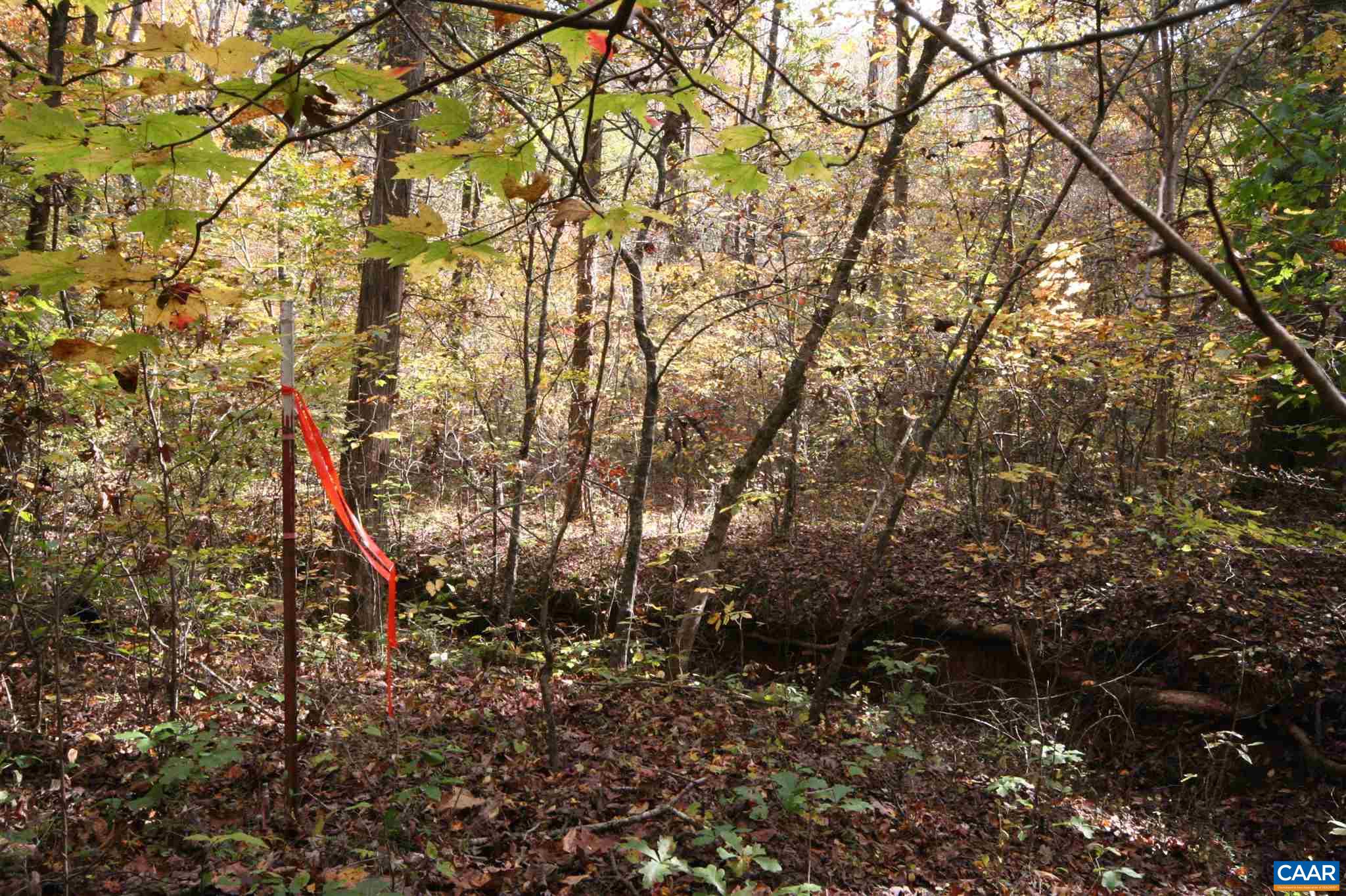Tba Lot A Tba Road Howardsville, VA 24562 - Photo 60 of 64 a backyard of a house with lots of green space