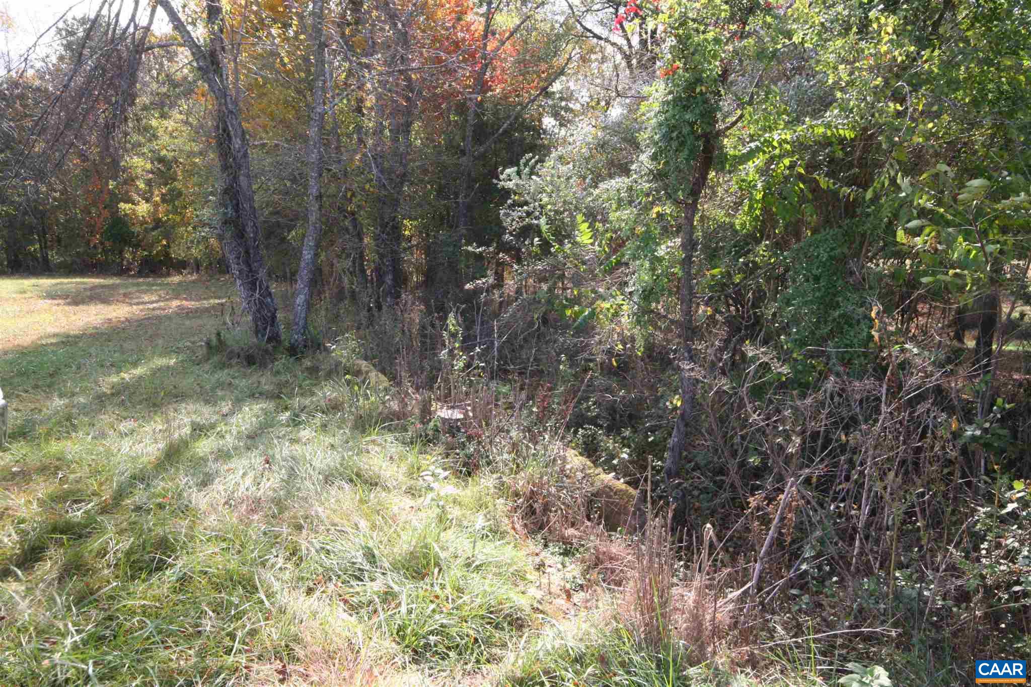 Tba Lot A Tba Road Howardsville, VA 24562 - Photo 63 of 64 a view of outdoor space and trees