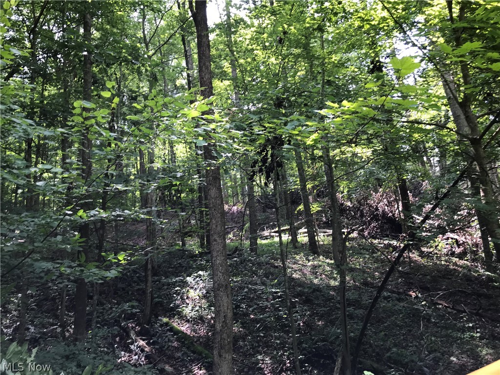 Cain Ridge Road Evans, WV 25241 - Photo 8 of 18