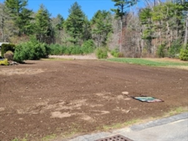 a view of dirt field with trees in the background