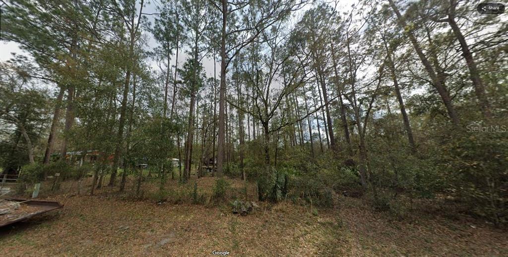 Riley Drive Interlachen, FL 32148 - Photo 7 of 7 a view of a forest with trees in the background