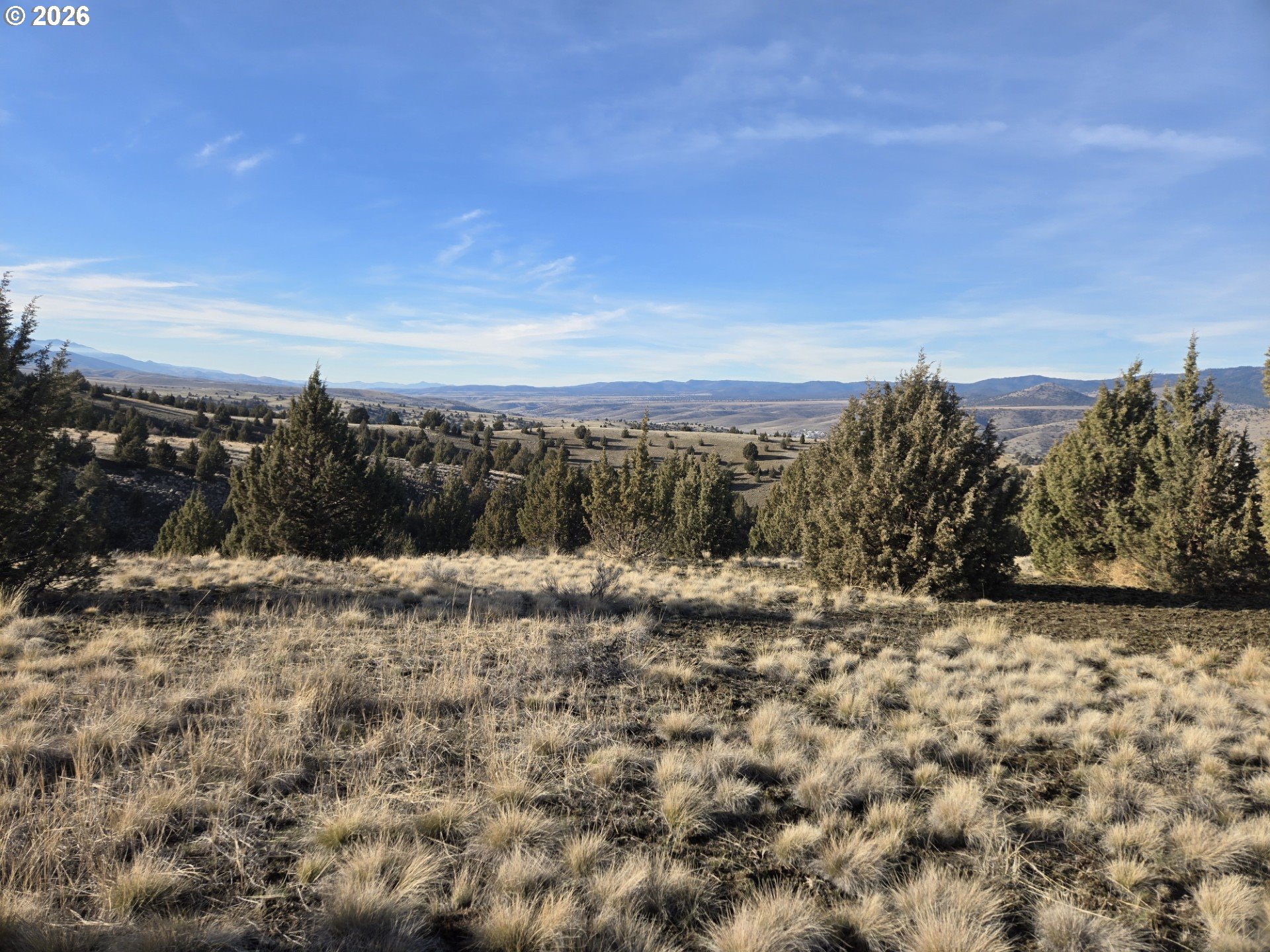 Laycock Creek Road Mount Vernon, OR 97865 - Photo 1 of 18 a view of a dry yard with wooden fence