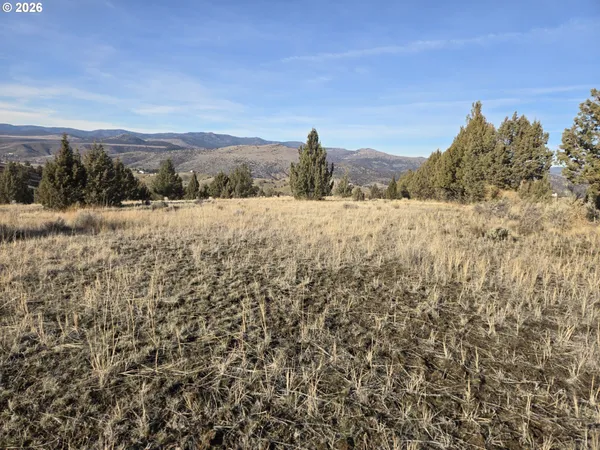 a view of a yard from a balcony