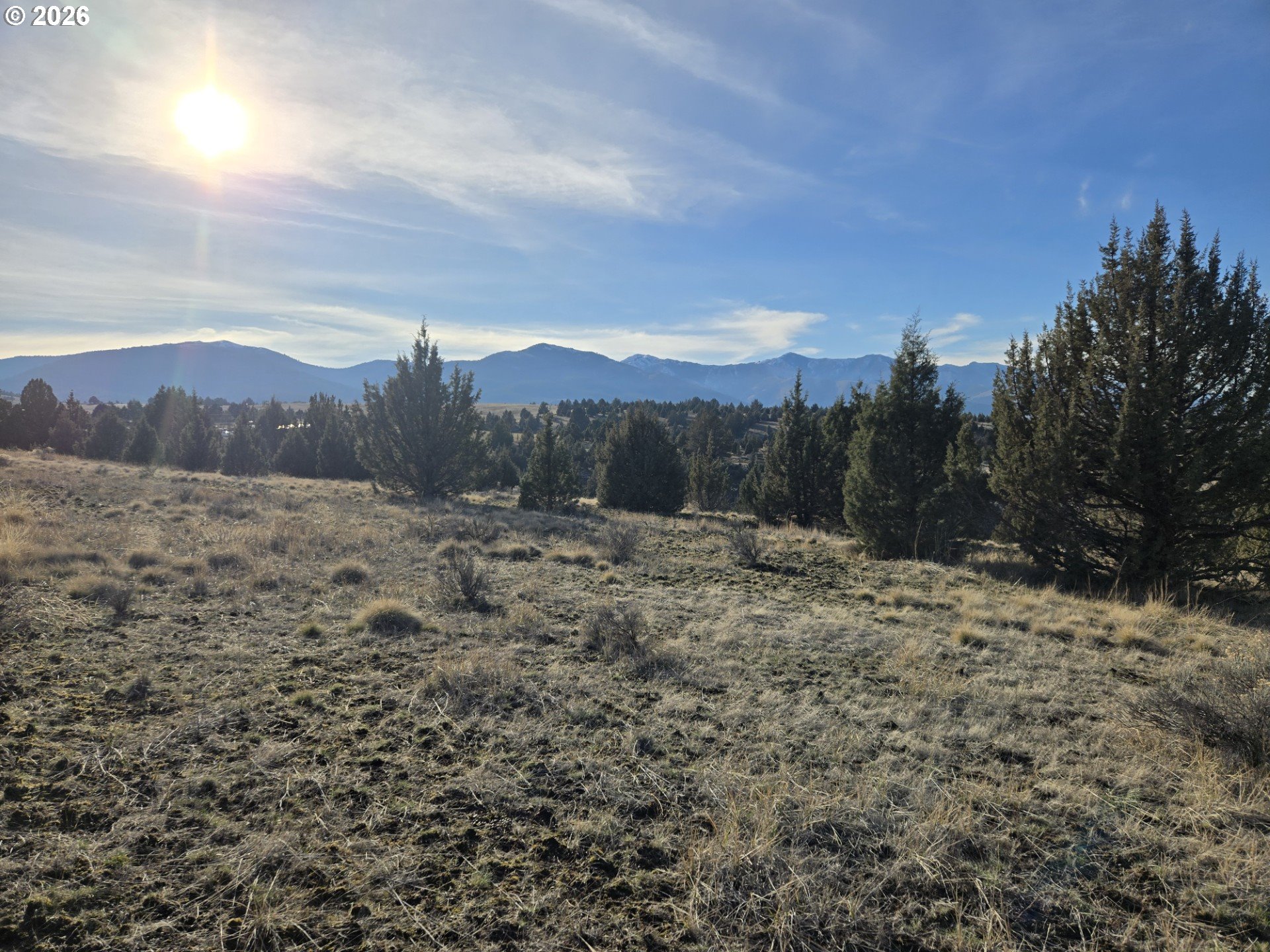 Laycock Creek Road Mount Vernon, OR 97865 - Photo 12 of 18 a view of a backyard of the house