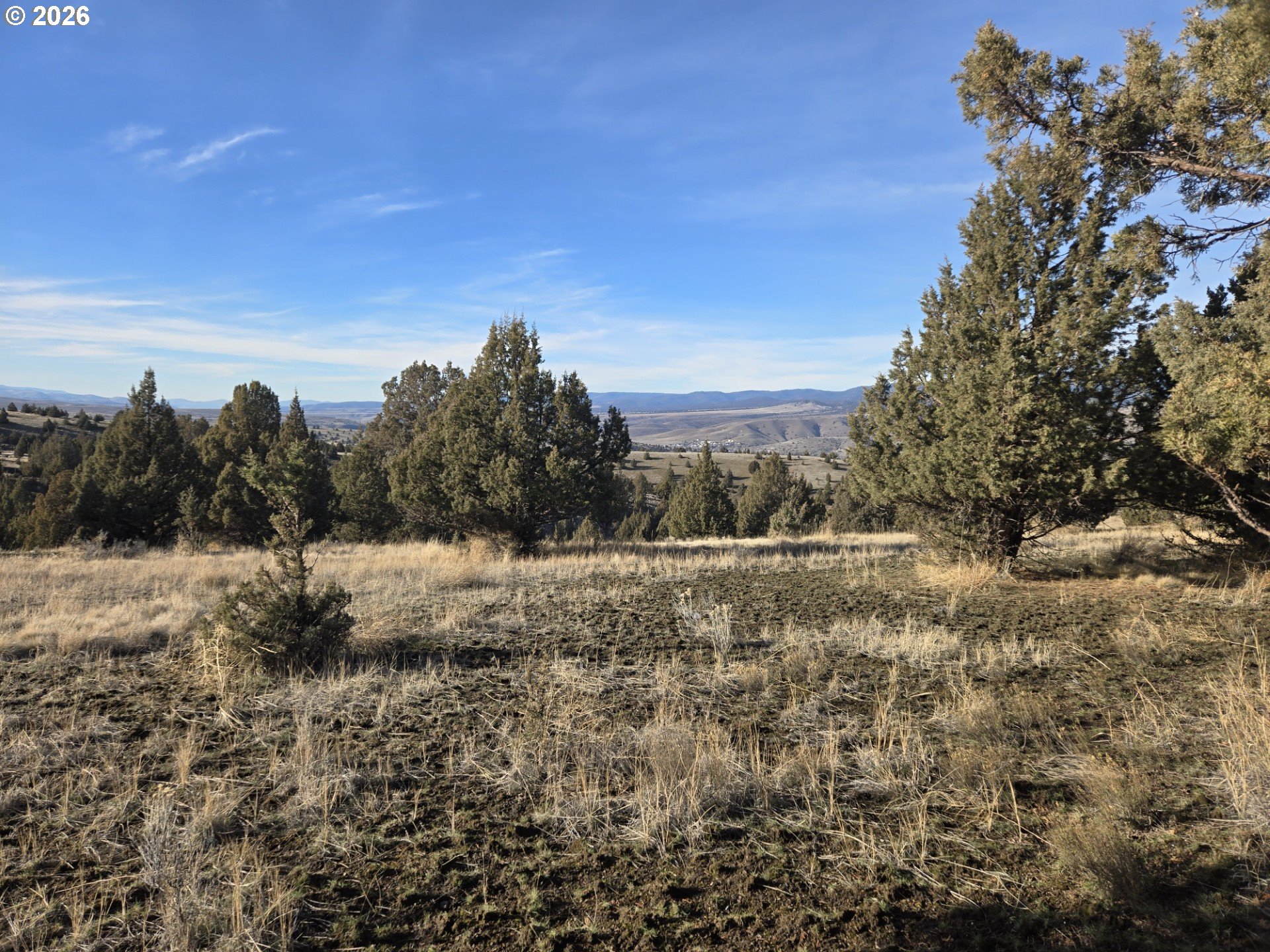 Laycock Creek Road Mount Vernon, OR 97865 - Photo 13 of 18
