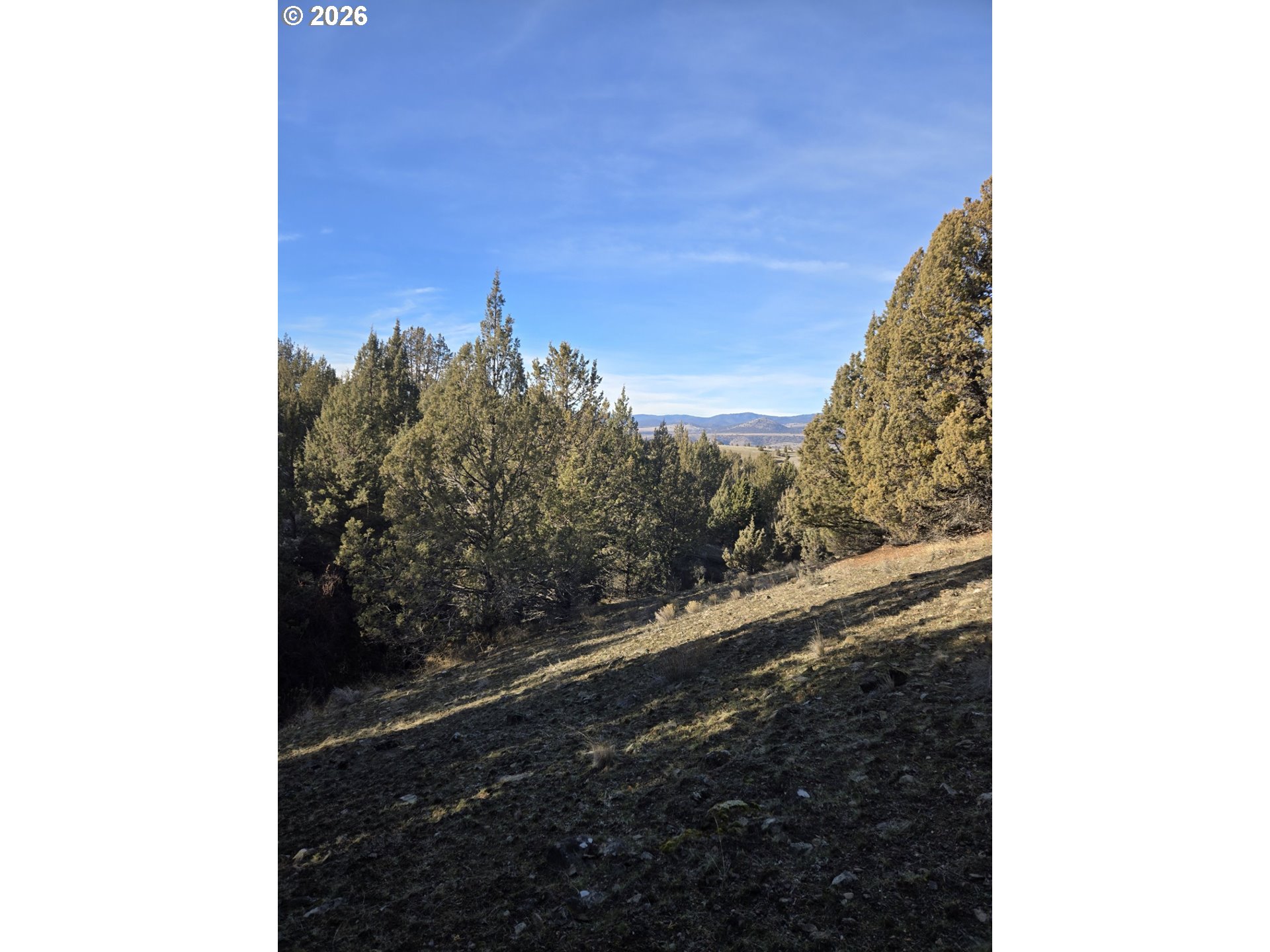 Laycock Creek Road Mount Vernon, OR 97865 - Photo 14 of 18 a view of a yard from a balcony