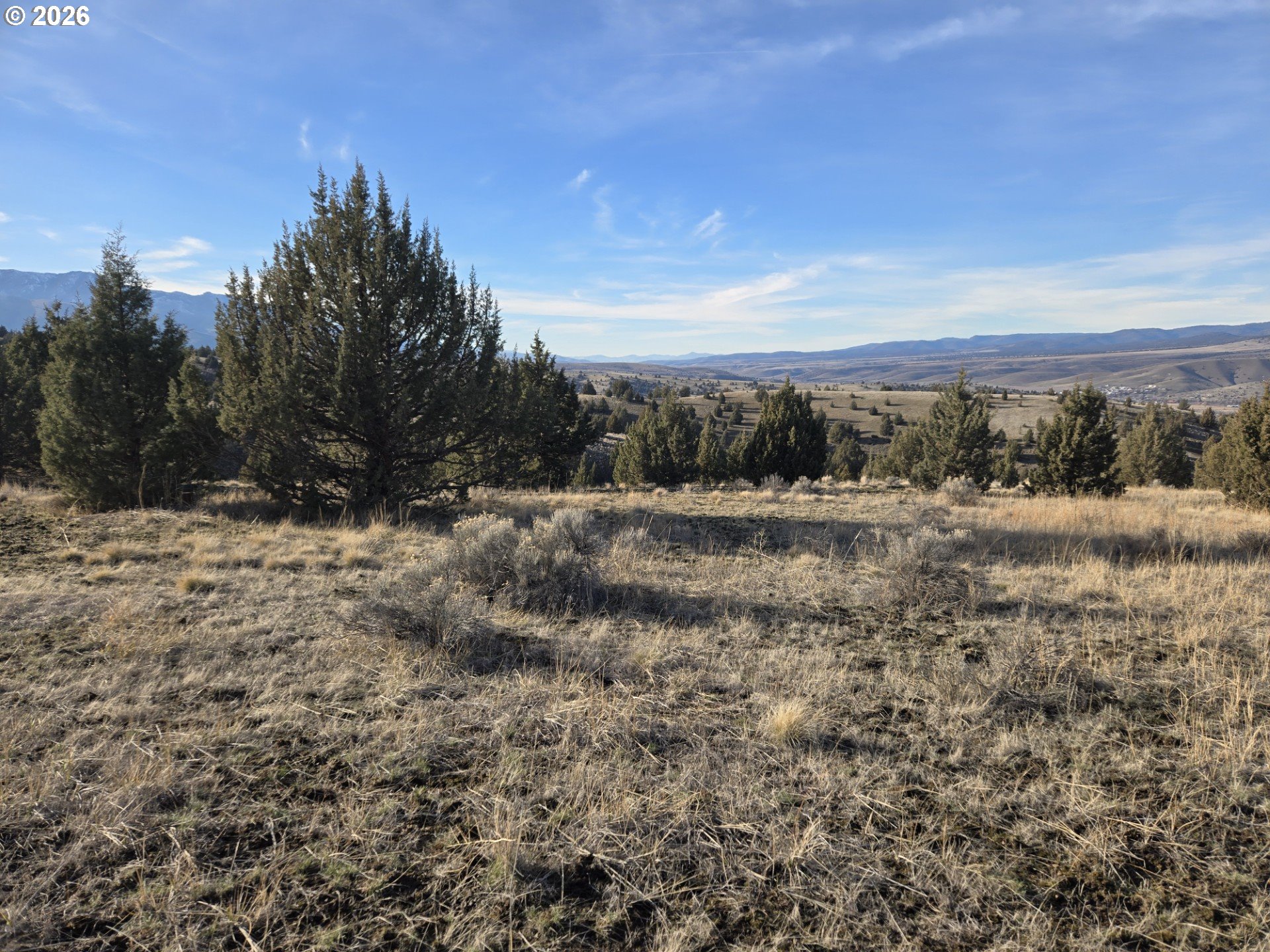 Laycock Creek Road Mount Vernon, OR 97865 - Photo 15 of 18 a view of a field with trees in background