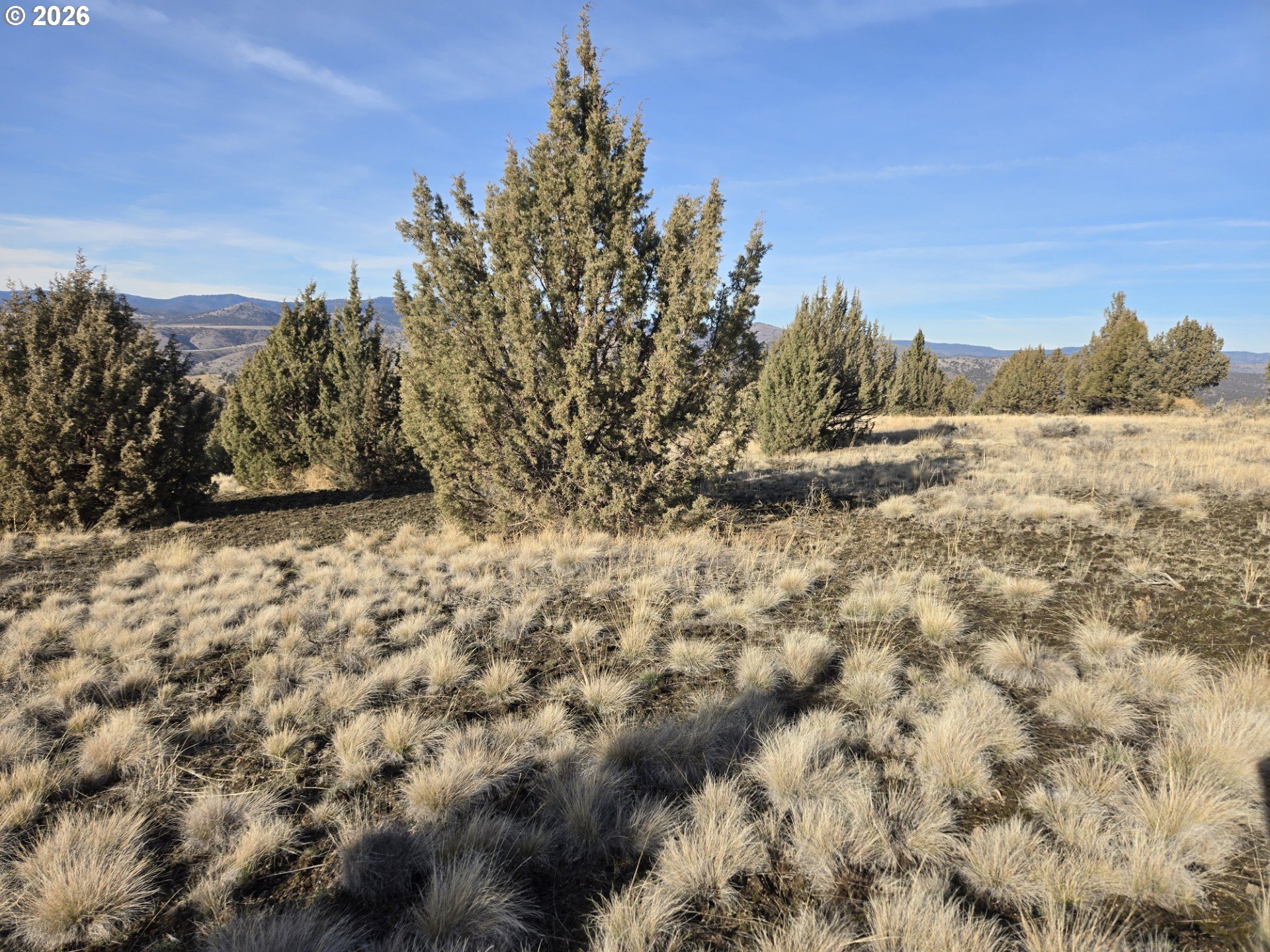 Laycock Creek Road Mount Vernon, OR 97865 - Photo 17 of 18 a view of a yard