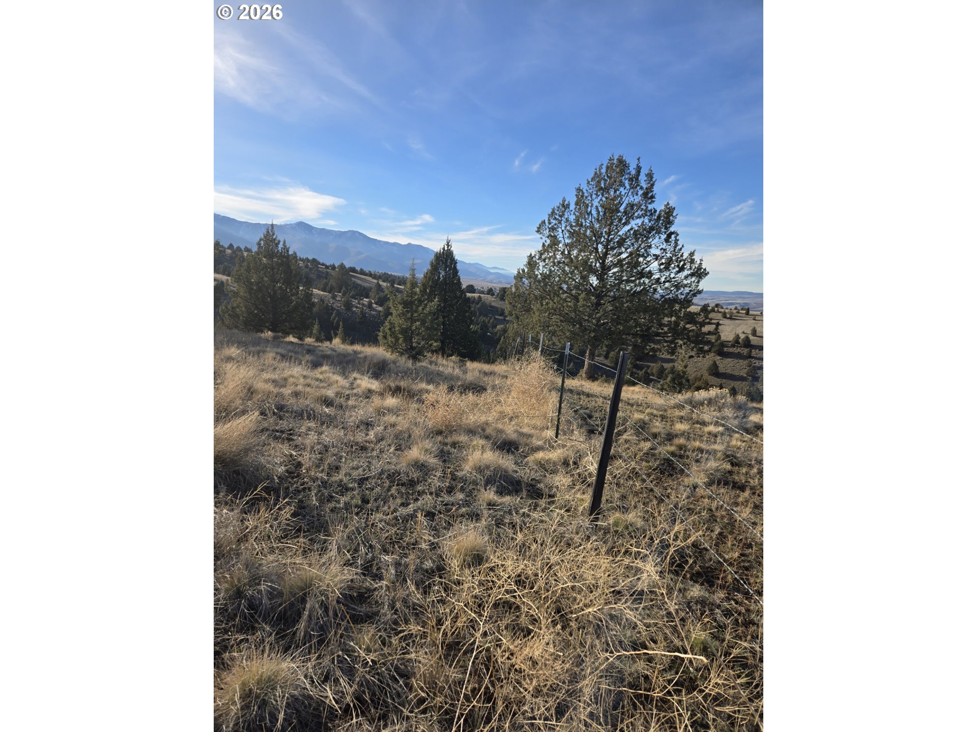 Laycock Creek Road Mount Vernon, OR 97865 - Photo 5 of 18 a view of a forest