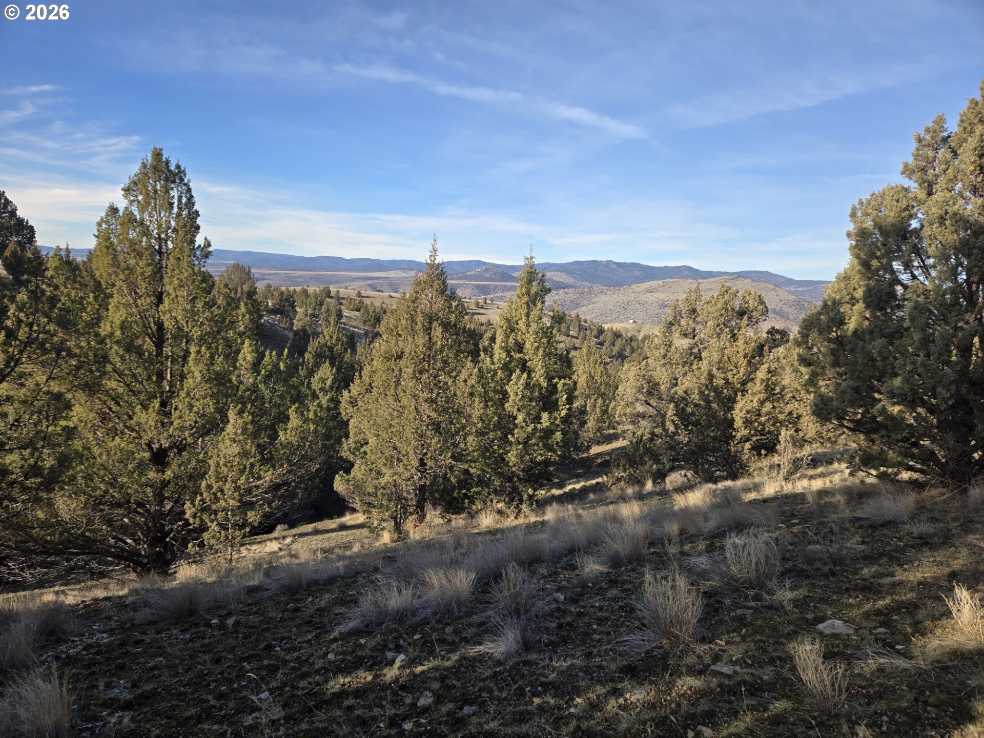 Laycock Creek Road Mount Vernon, OR 97865 - Photo 9 of 18 a view of a field with a tree in the background
