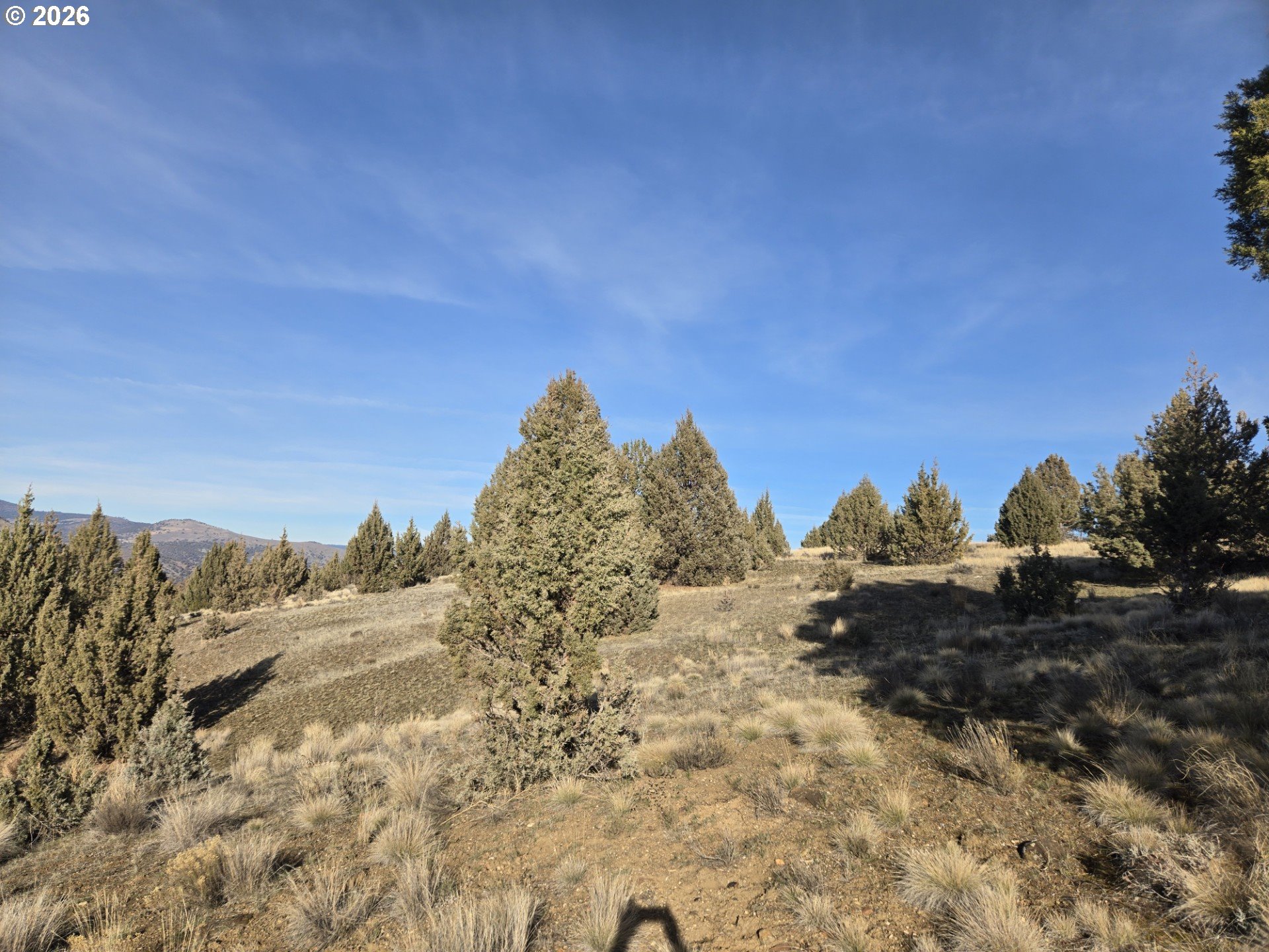 Laycock Creek Road Mount Vernon, OR 97865 - Photo 10 of 18