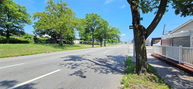 a view of a road with a large tree