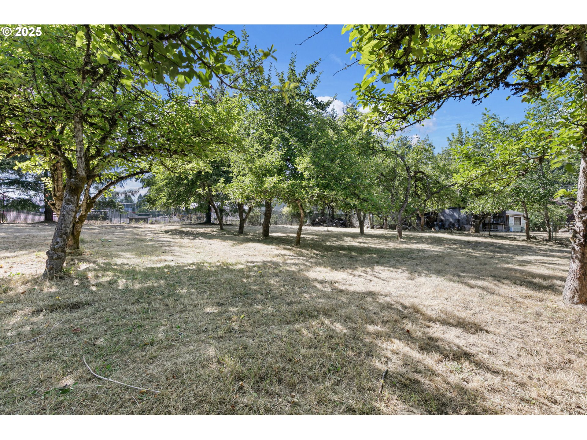 25412 Jeans Road Veneta, OR 97487 - Photo 32 of 36