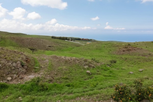 122 Kohala Ranch Road Kamuela, HI 96743 - Photo 1 of 2 Gallery Image 1
