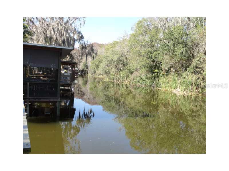 1114 Rue De Dore Tavares, FL 32778 - Photo 4 of 14 Waterfront