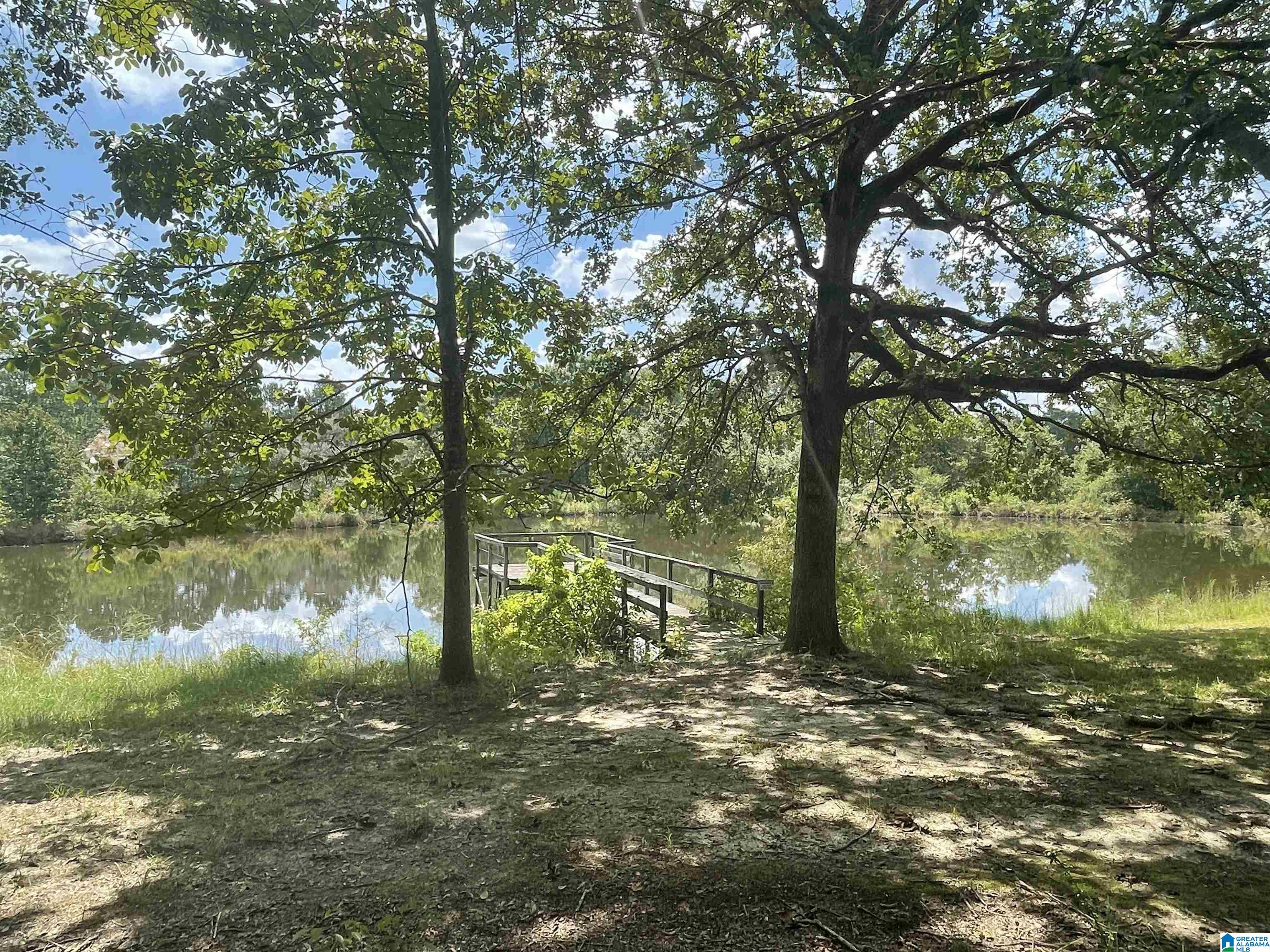 10505 County Road 59 Centre, AL 35960 - Photo 7 of 19