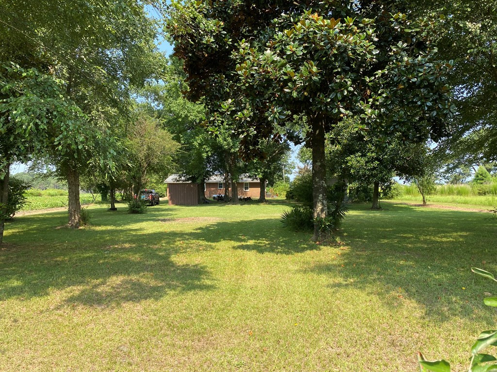 1036 Bennetts Bridge Road Mount Olive, NC 28365 - Photo 3 of 22 Gallery Image 3