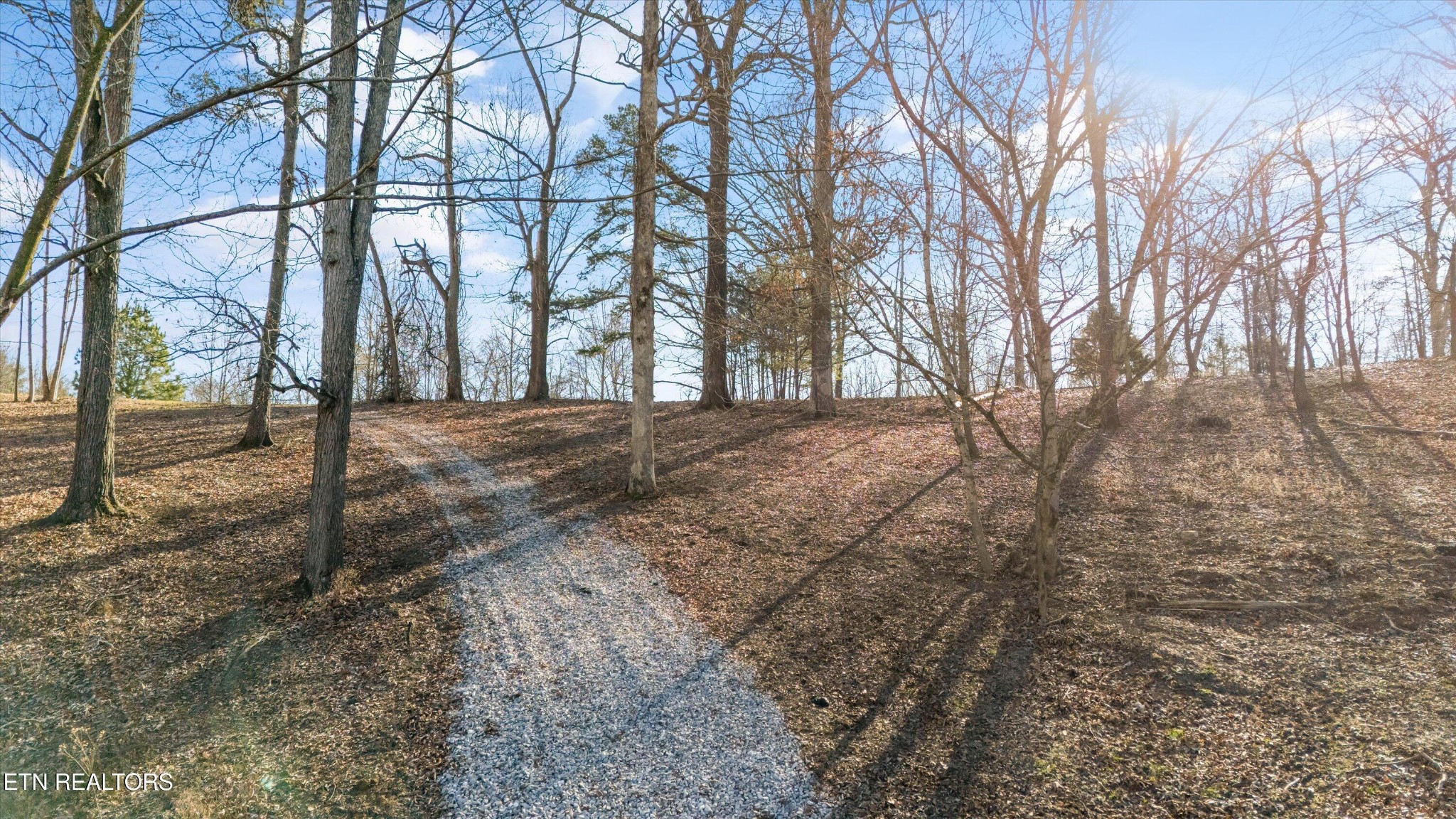 183 Laurel Road Clinton, TN 37716 - Photo 43 of 59 a view of a yard with trees