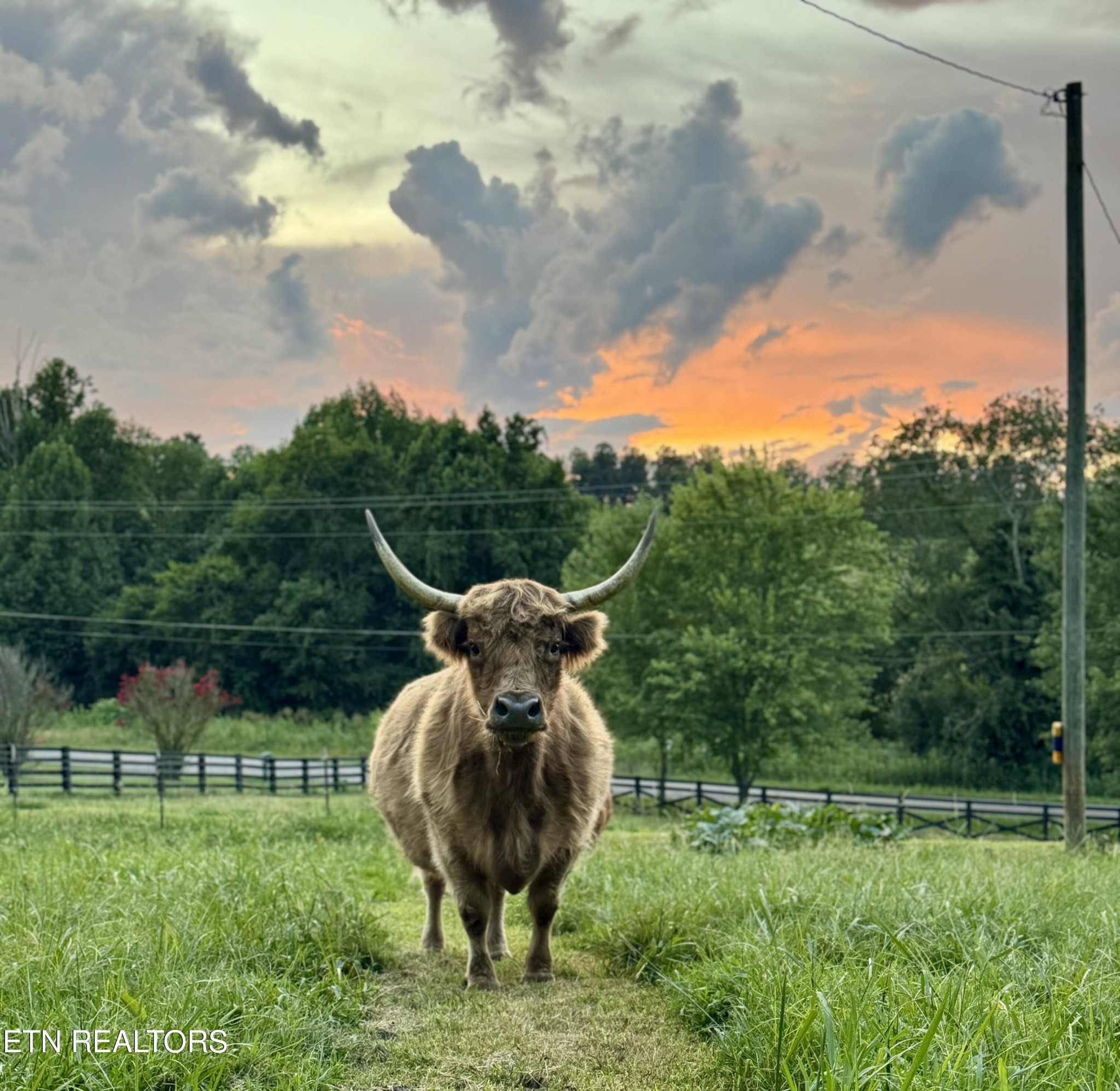 183 Laurel Road Clinton, TN 37716 - Photo 49 of 59