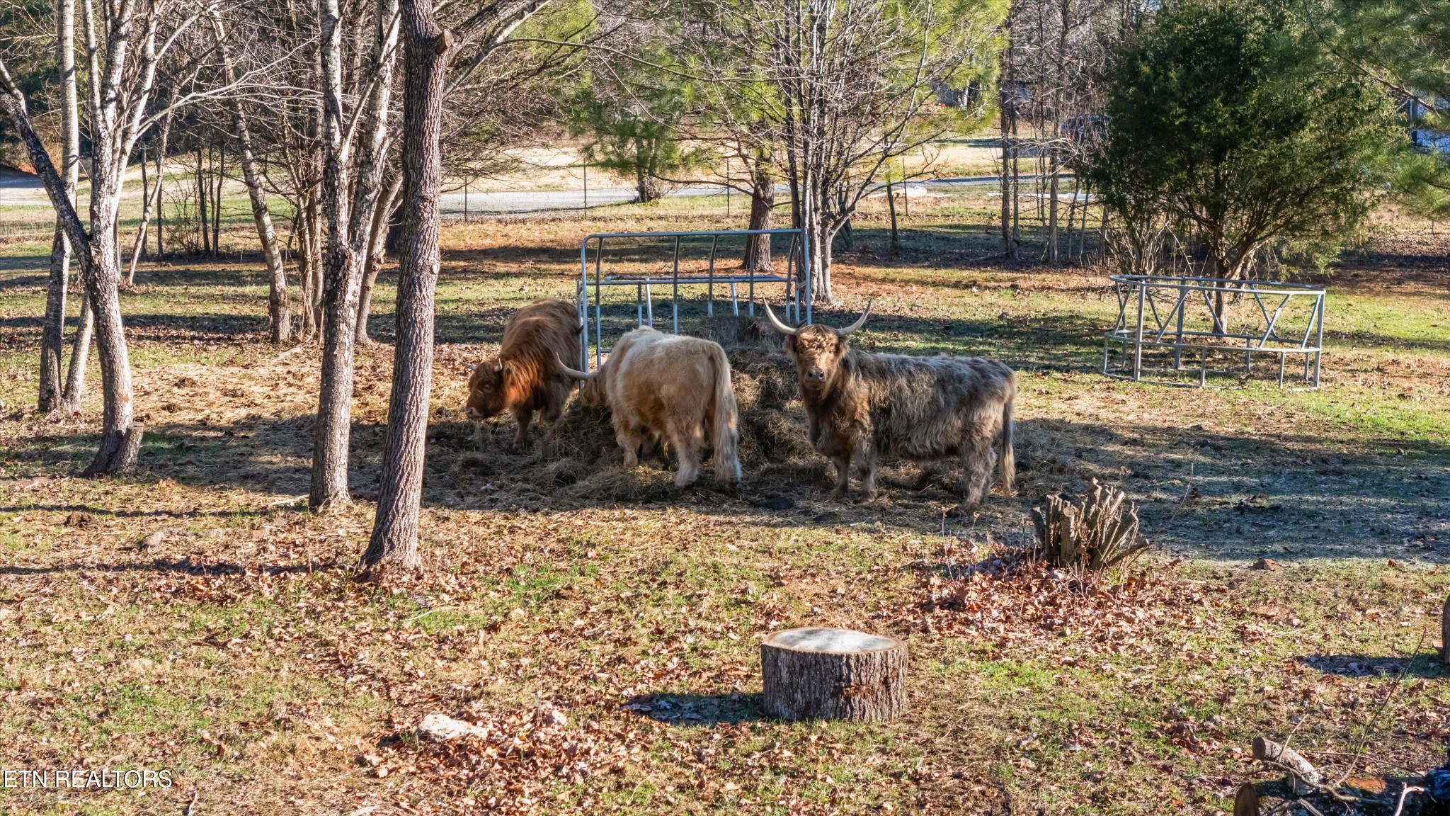 183 Laurel Road Clinton, TN 37716 - Photo 49 of 60 a view of a yard with wooden fence