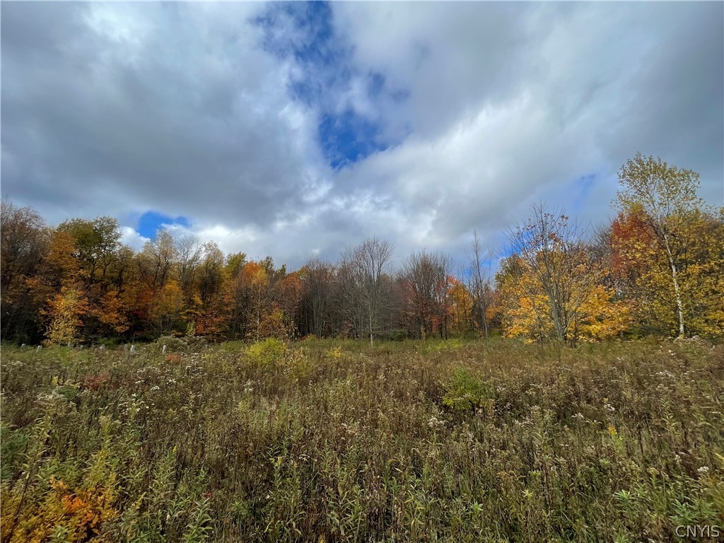 15 Lee Road Camden, NY 13316 - Photo 9 of 12 Gallery Image 9