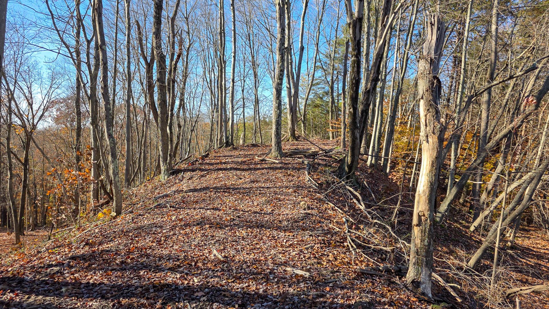 680 Nibert Road, Unit PONDS POPLAR RIDGE TRACT 10) Gallipolis, OH 45631 - Photo 37 of 46 CT-37