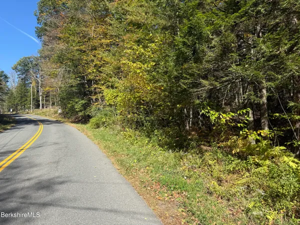 a view of a yard with plants
