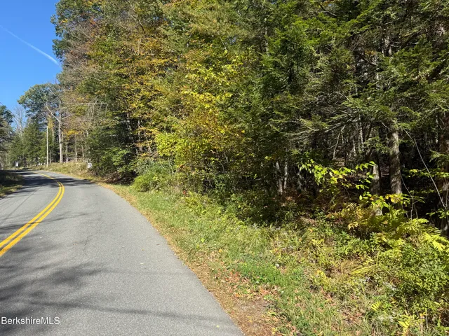 a view of a yard with plants