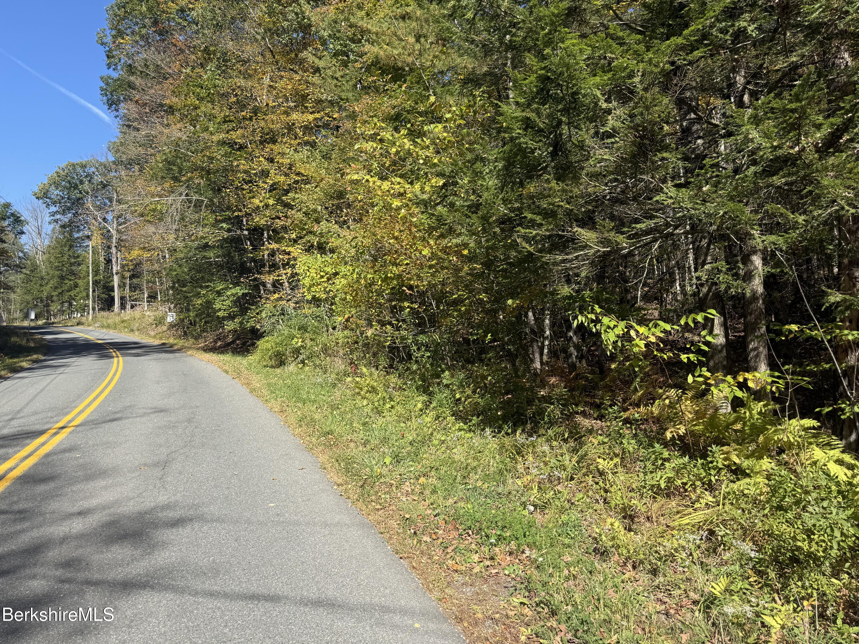 a view of a yard with plants