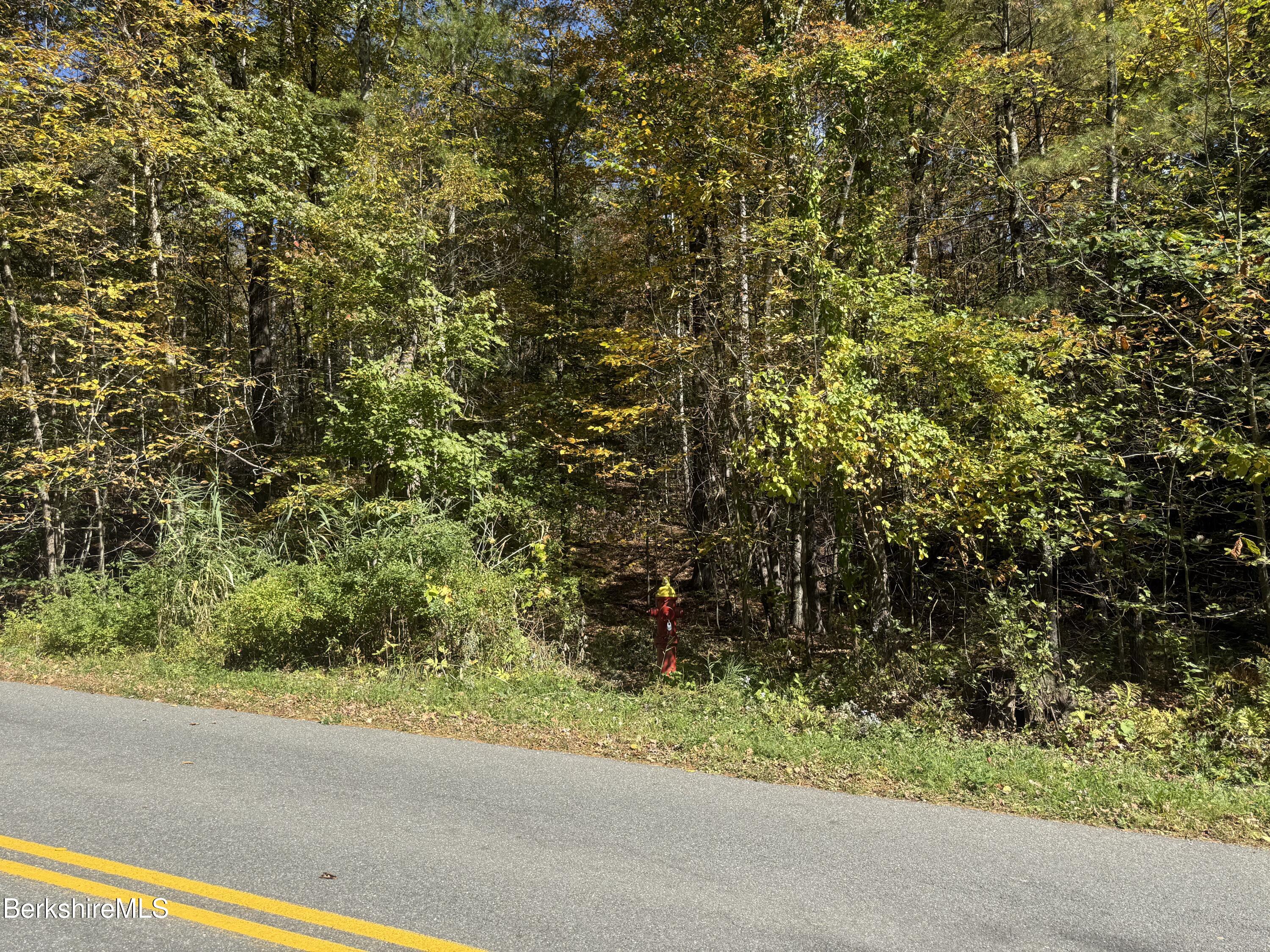 1 Wade Inn Road Becket, MA 01223 - Photo 2 of 9 a view of a garden