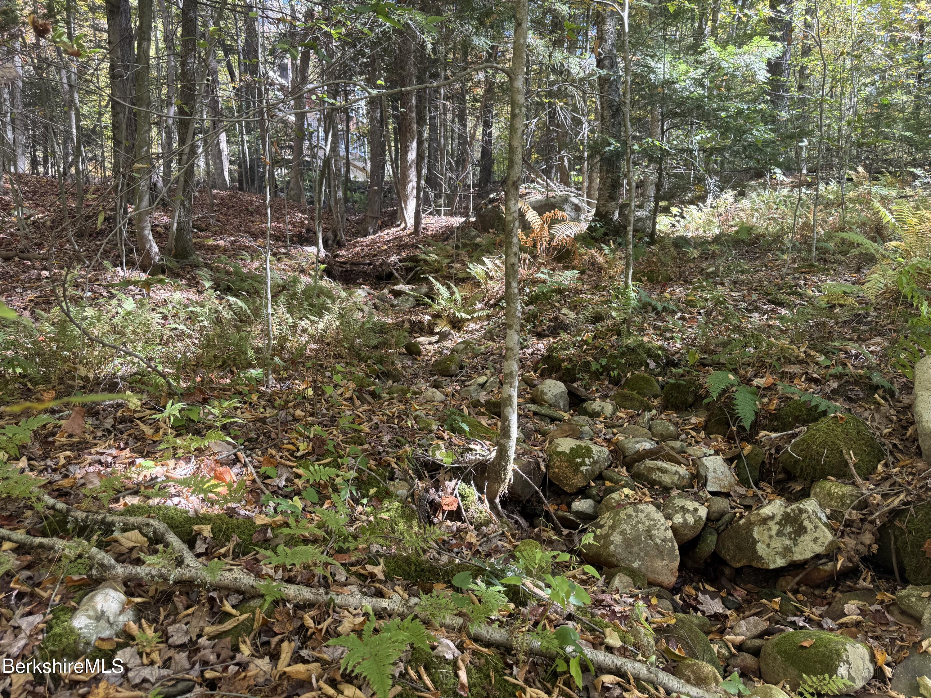 1 Wade Inn Road Becket, MA 01223 - Photo 3 of 9 a view of a forest