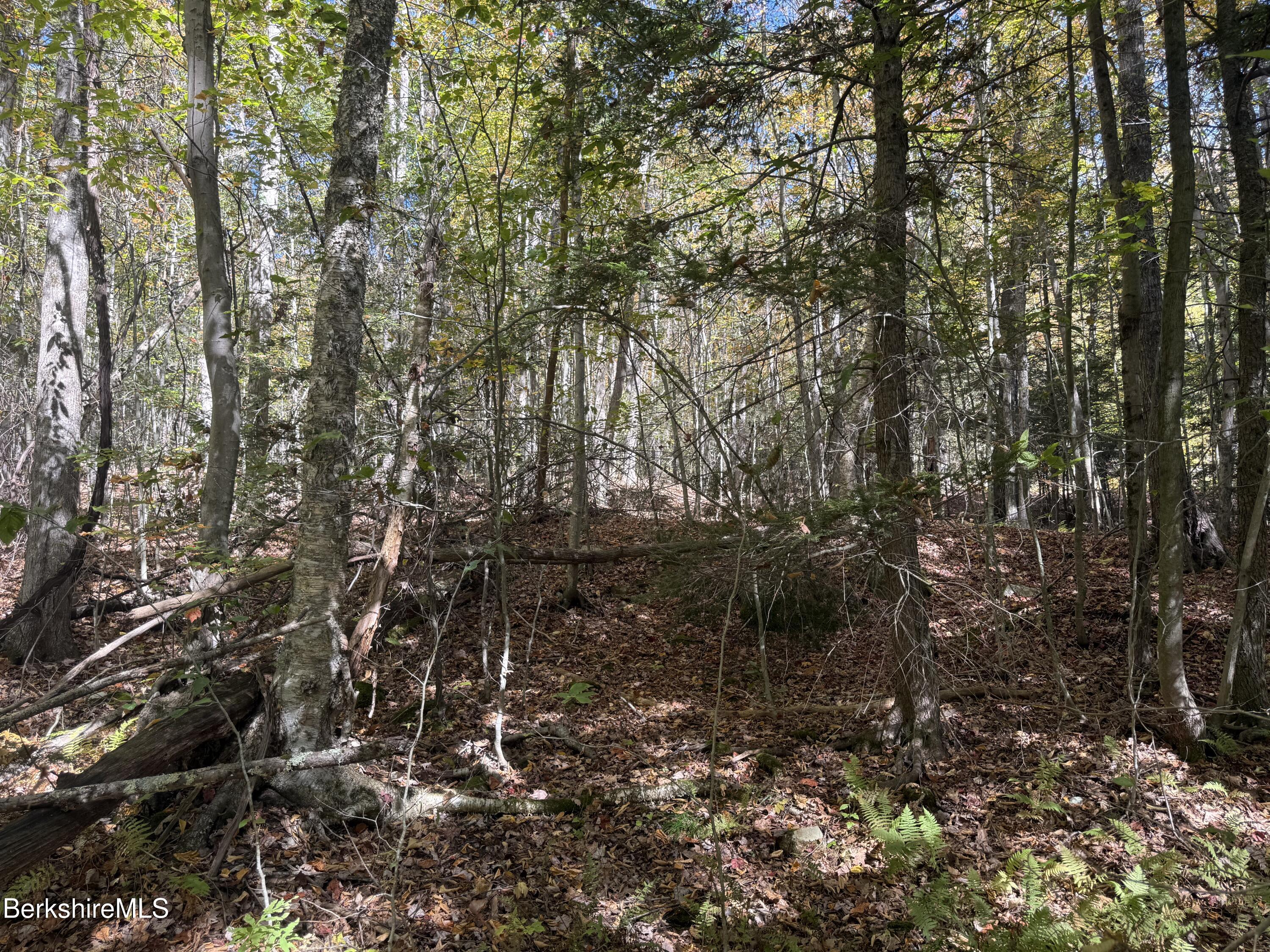 1 Wade Inn Road Becket, MA 01223 - Photo 4 of 9 a view of fountain in middle of forest