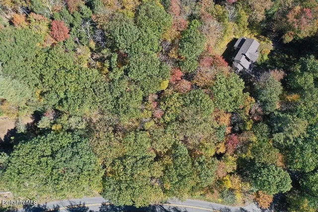 a view of a house with a lush green forest