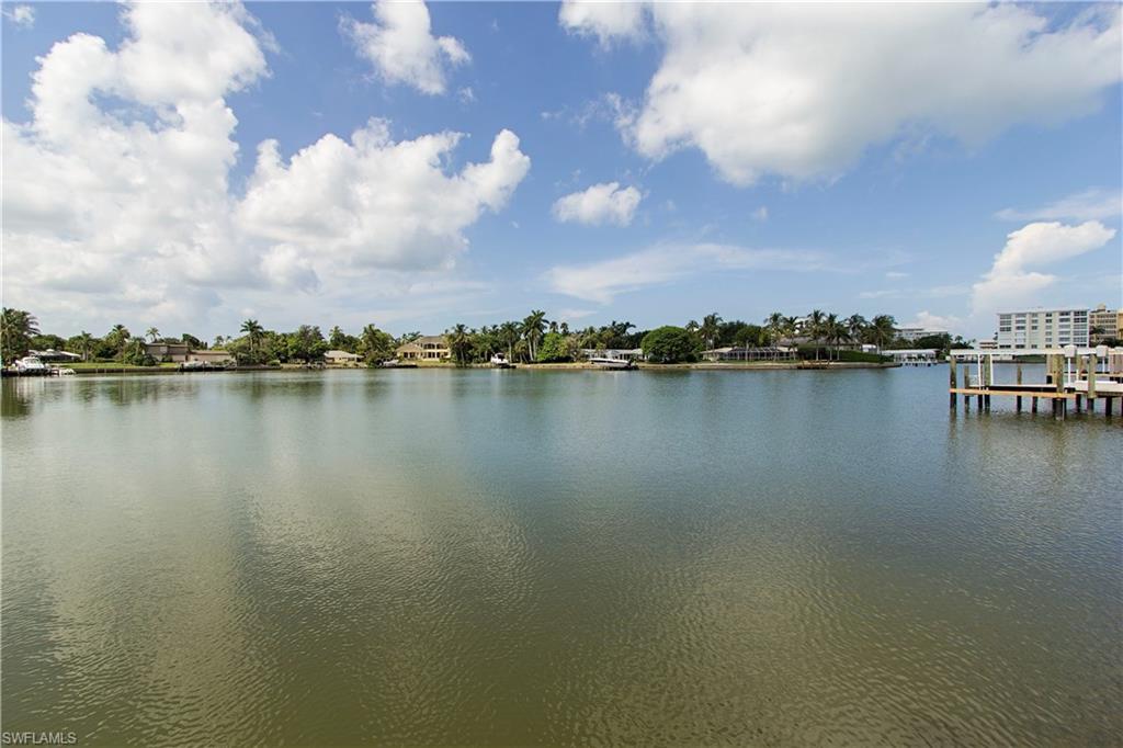 390 Springline Drive Naples, FL 34102 - Photo 5 of 11 a view of a lake with houses in the back
