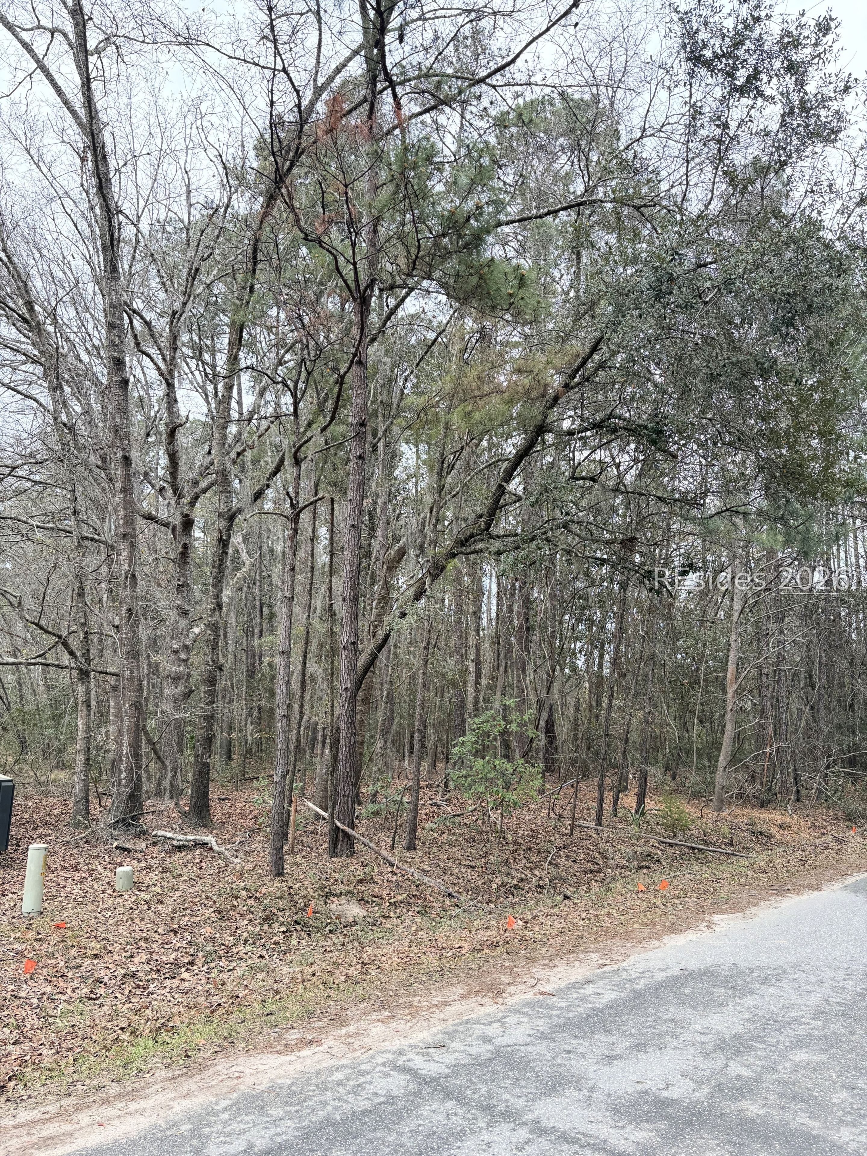 204 Palmetto Bluff Road Bluffton, SC 29910 - Photo 3 of 8