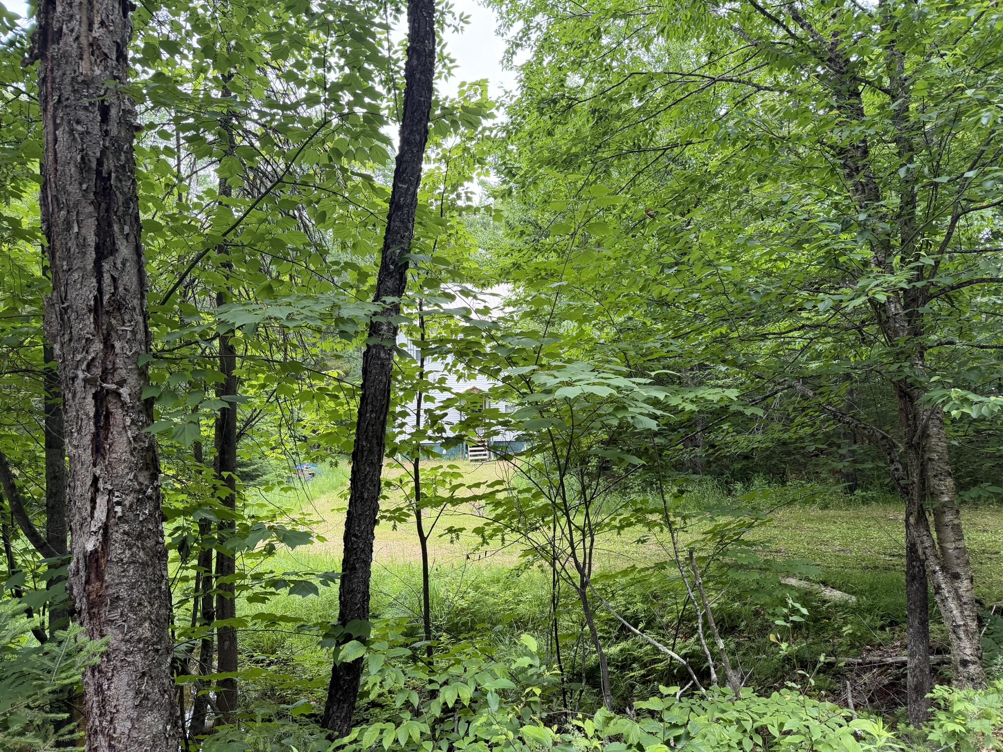 1732 Goodnow Flow Road Newcomb, NY 12852 - Photo 10 of 21