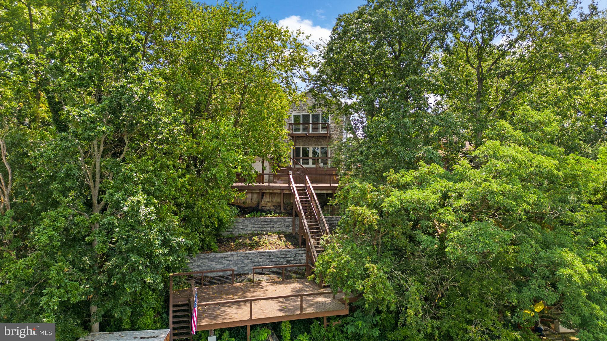 7674 Pine Knob Road Pasadena, MD 21122 - Photo 48 of 59 front view of a house with a tree