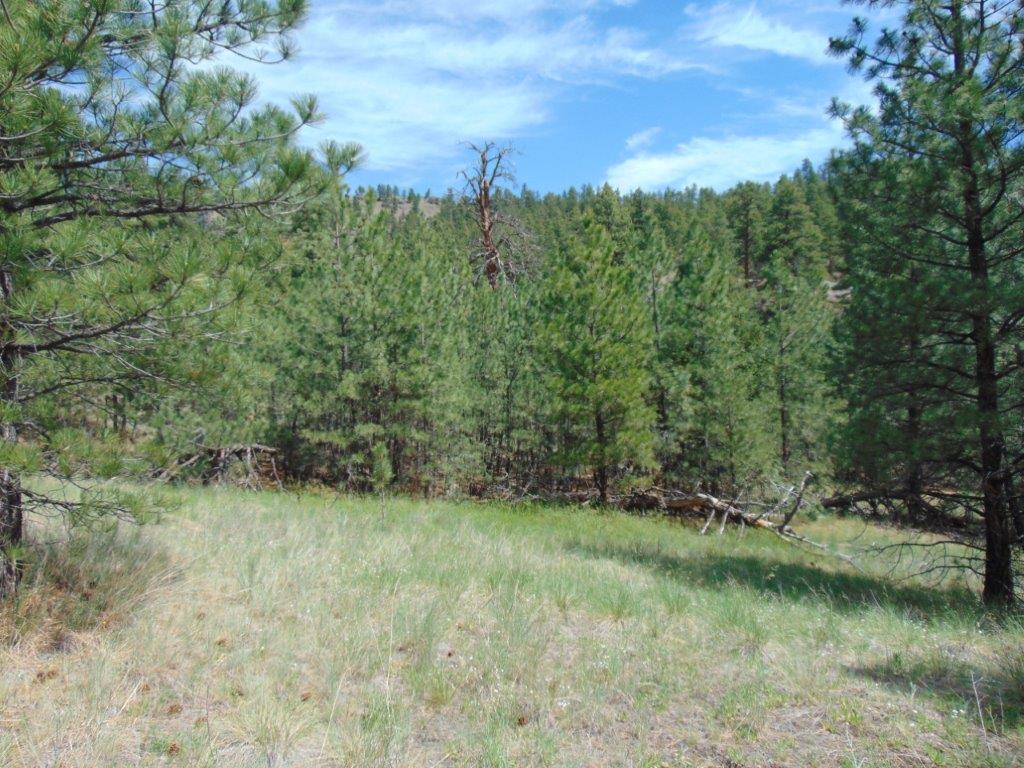 19 Lookout Lane Cascade, MT 59421 - Photo 2 of 30 Gallery Image 2