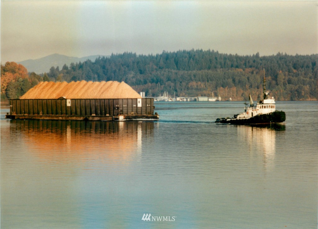 460 Southeast Collier Road Shelton, WA 98584 - Photo 22 of 24 Gallery Image 22