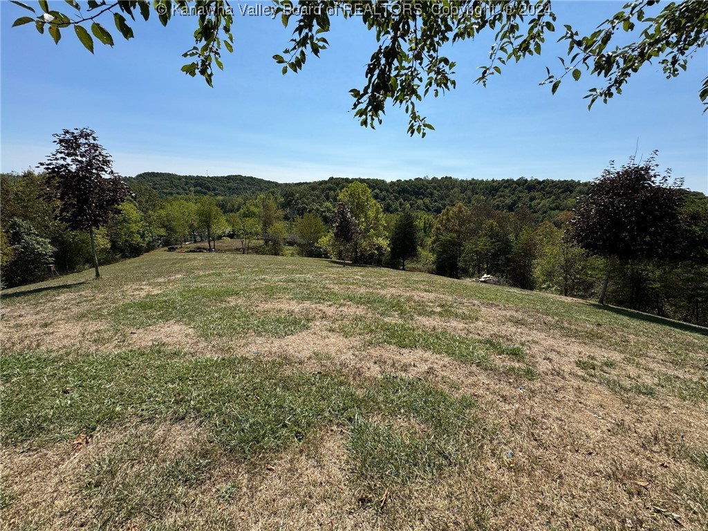 240 Forest View Drive Ripley, WV 25271 - Photo 46 of 50 Gallery Image 46